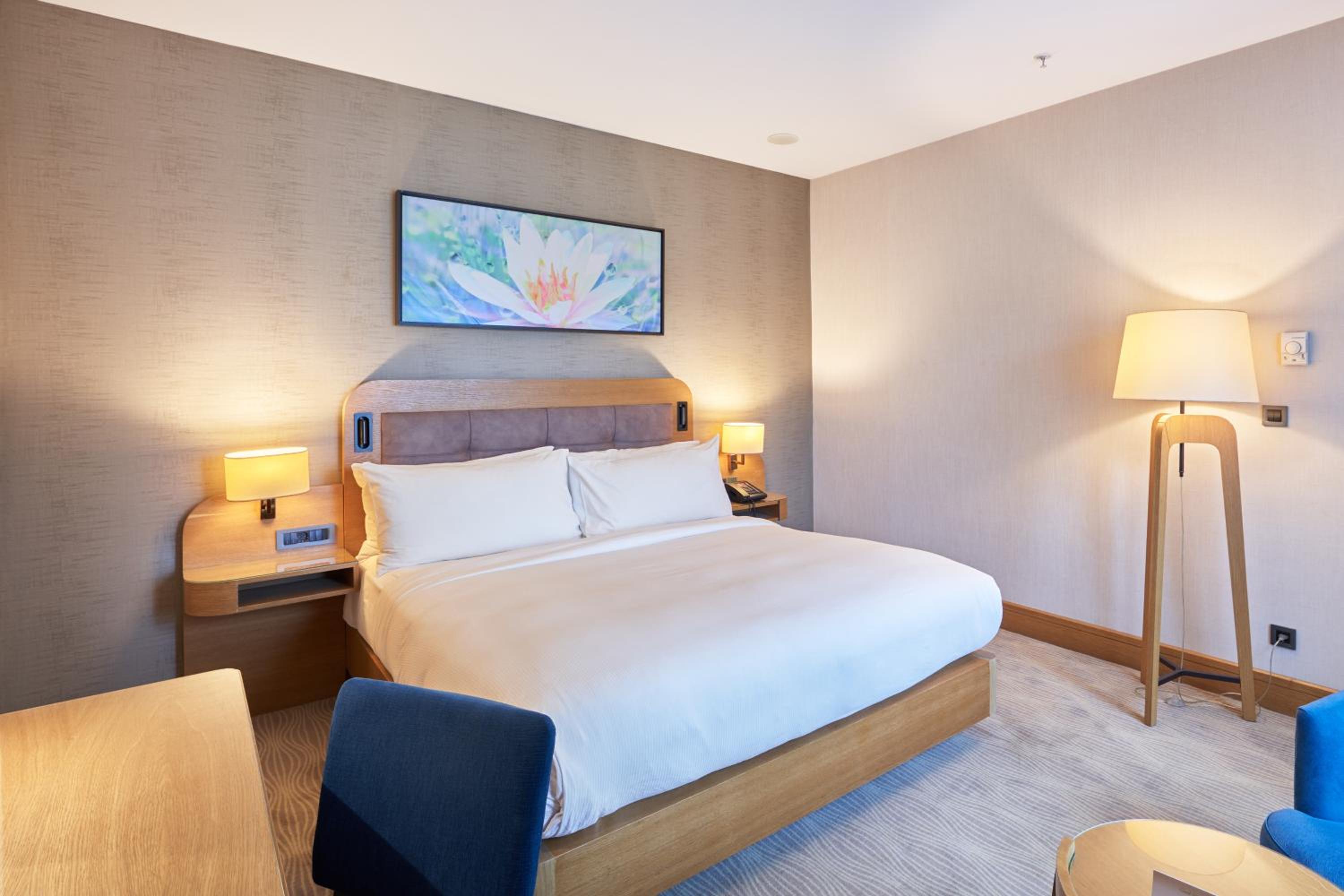 Junior Suite photo 1