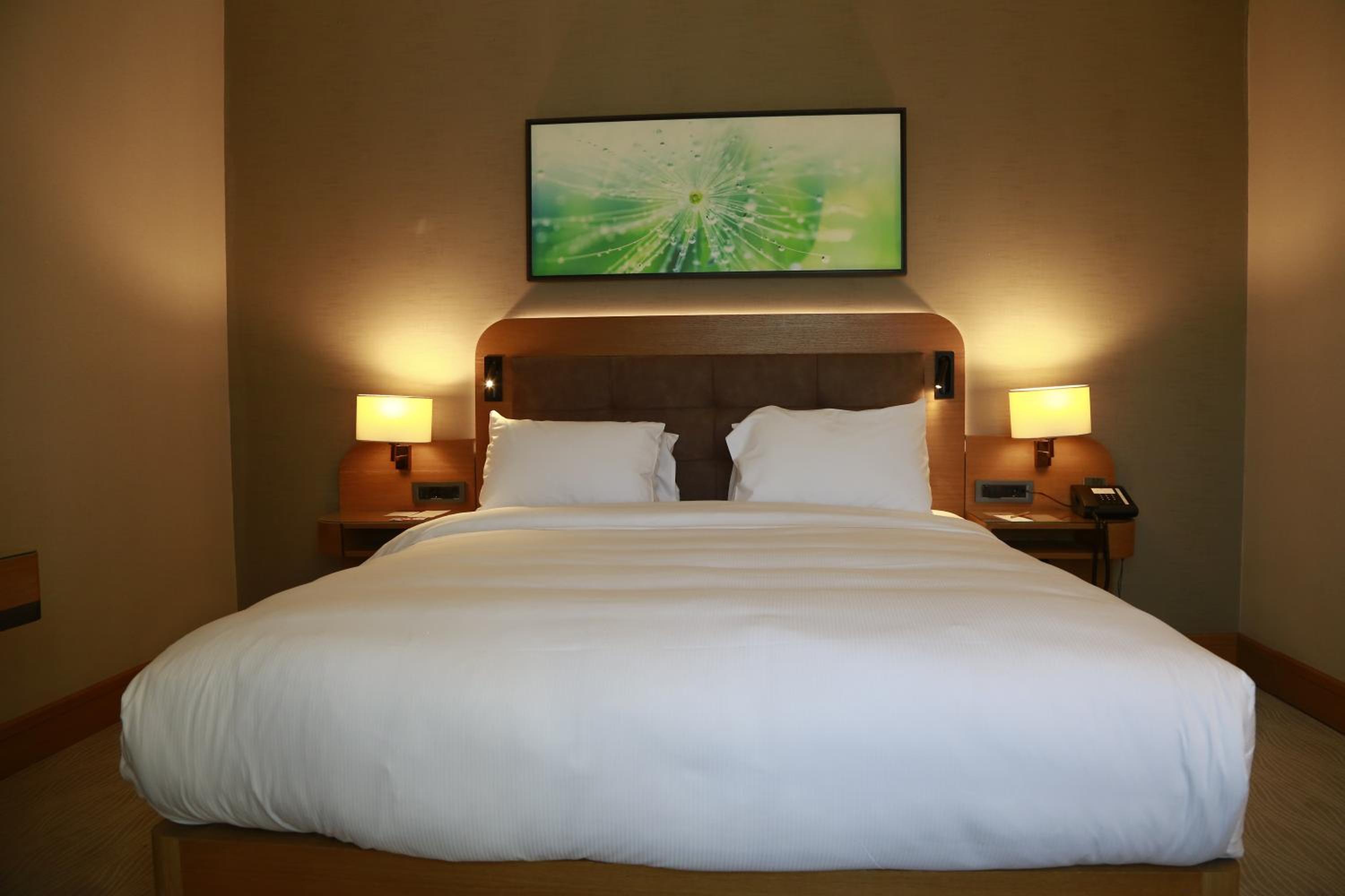 Deluxe King Room photo 2