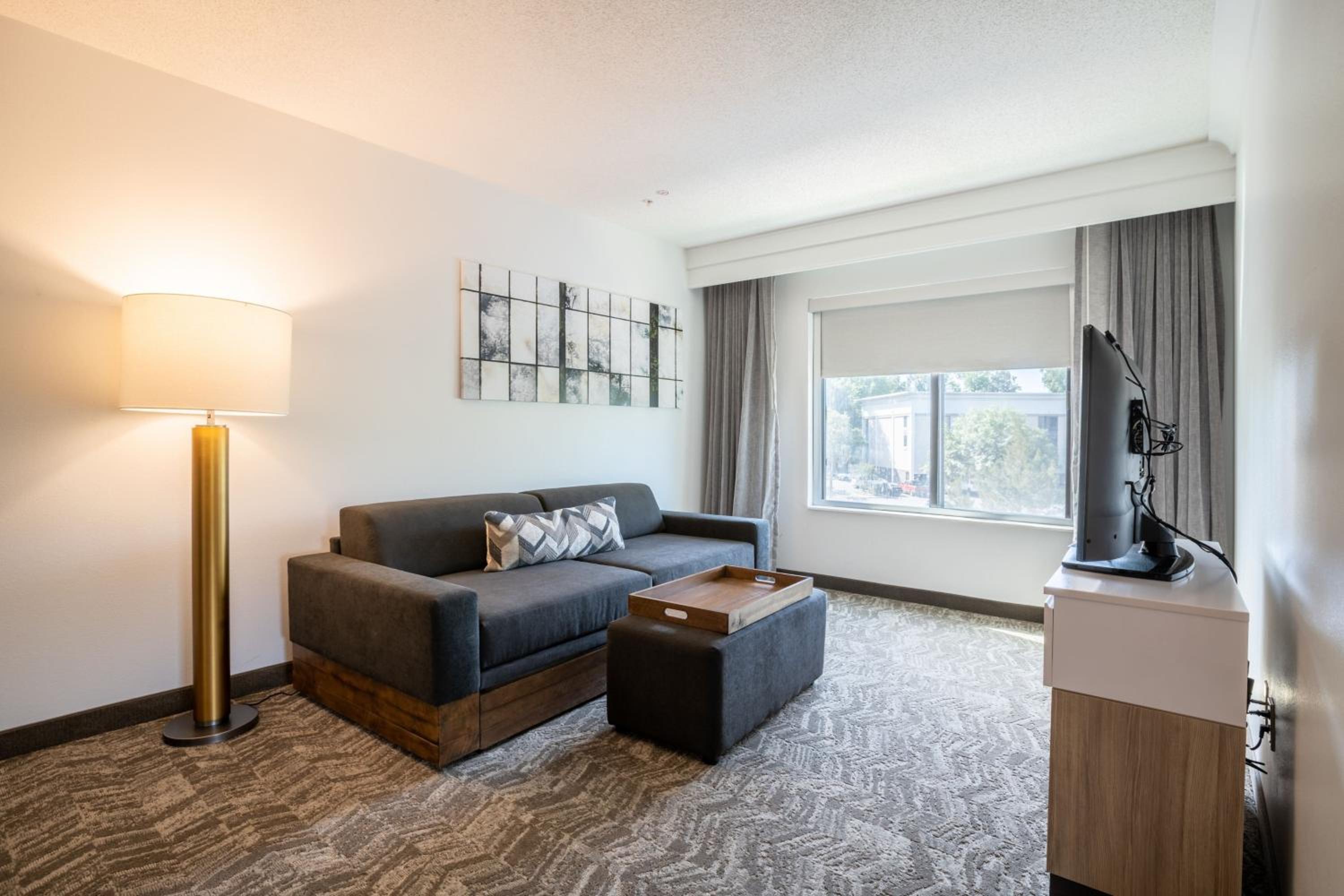 Larger King Suite with Trundle Sofa - Photo 1