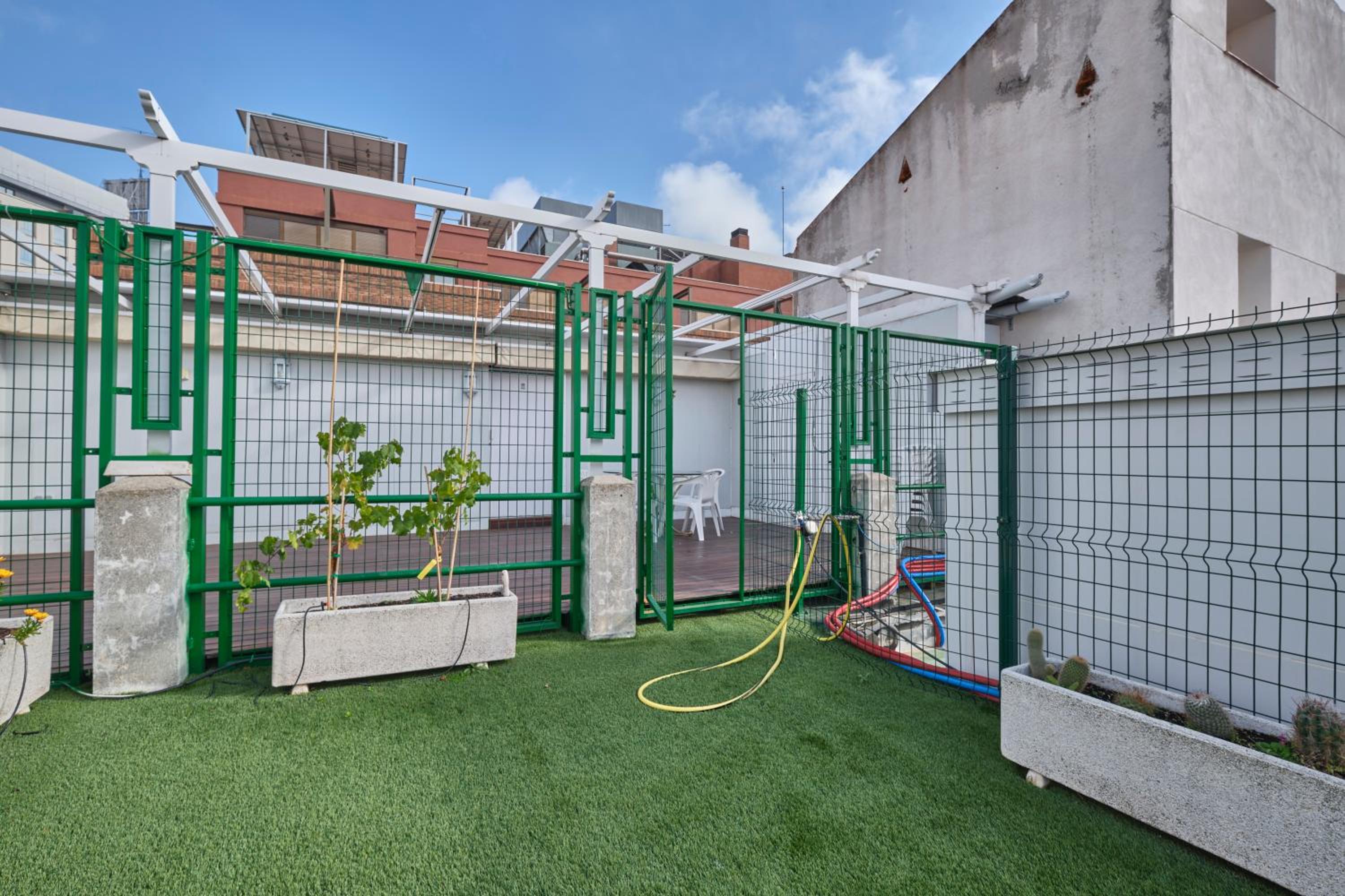 Apartment with Terrace - Photo 9