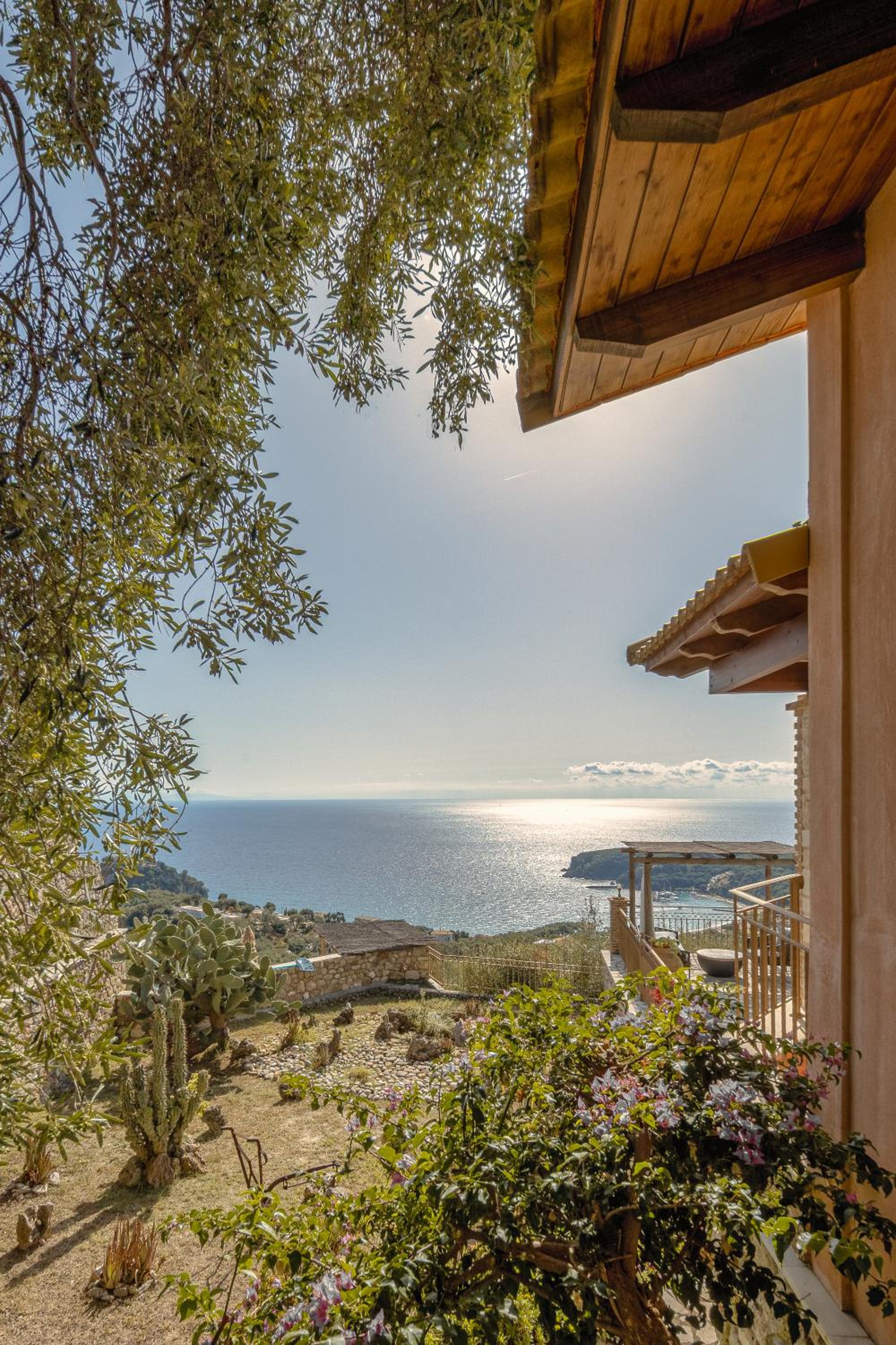 Deluxe Villa photo 2