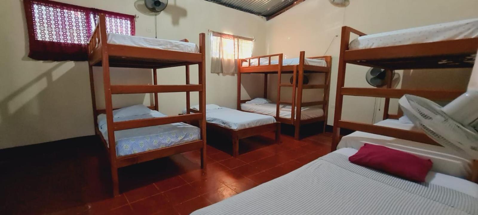 Single Bed in Dormitory Room