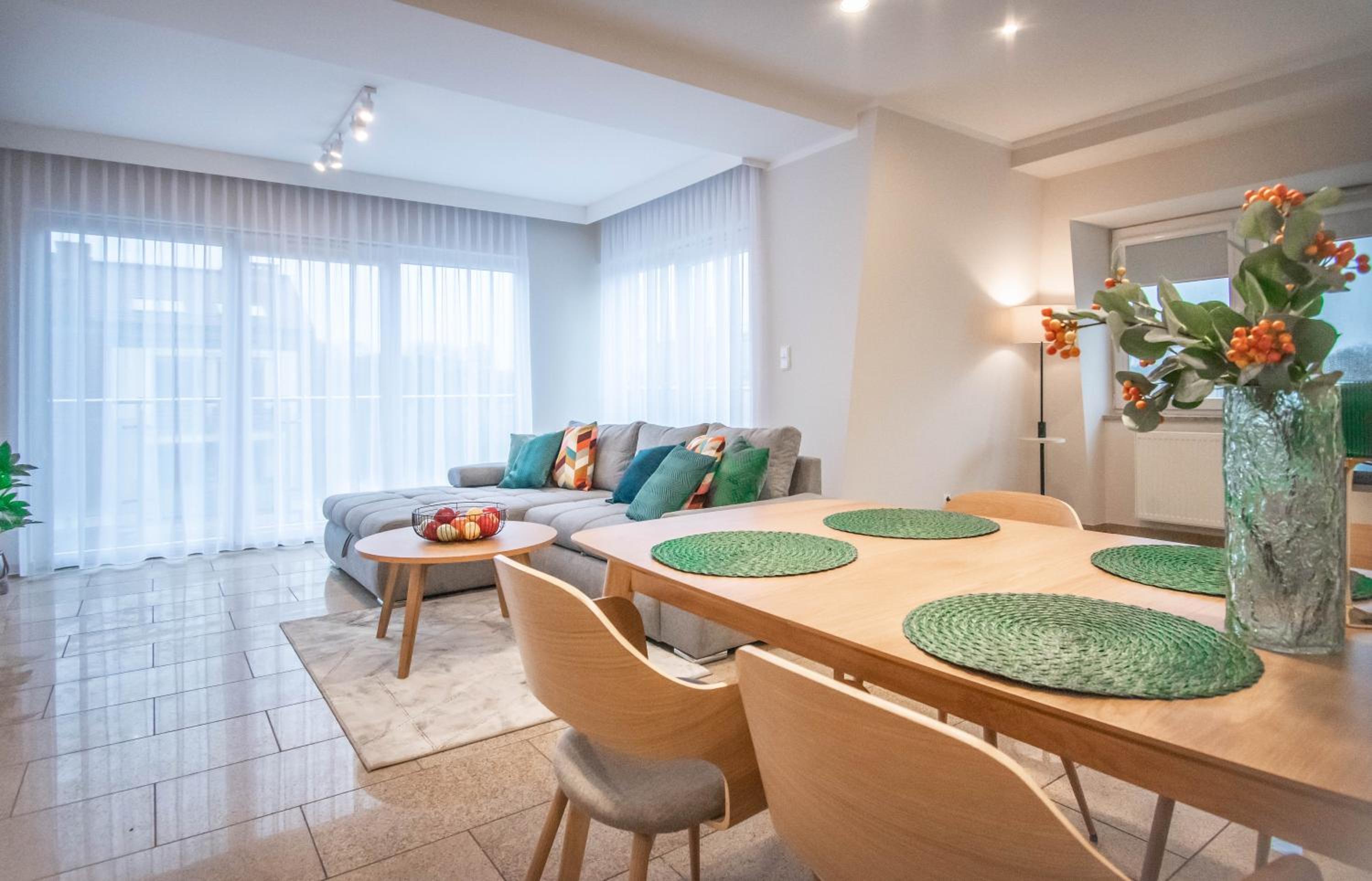 Deluxe Apartment