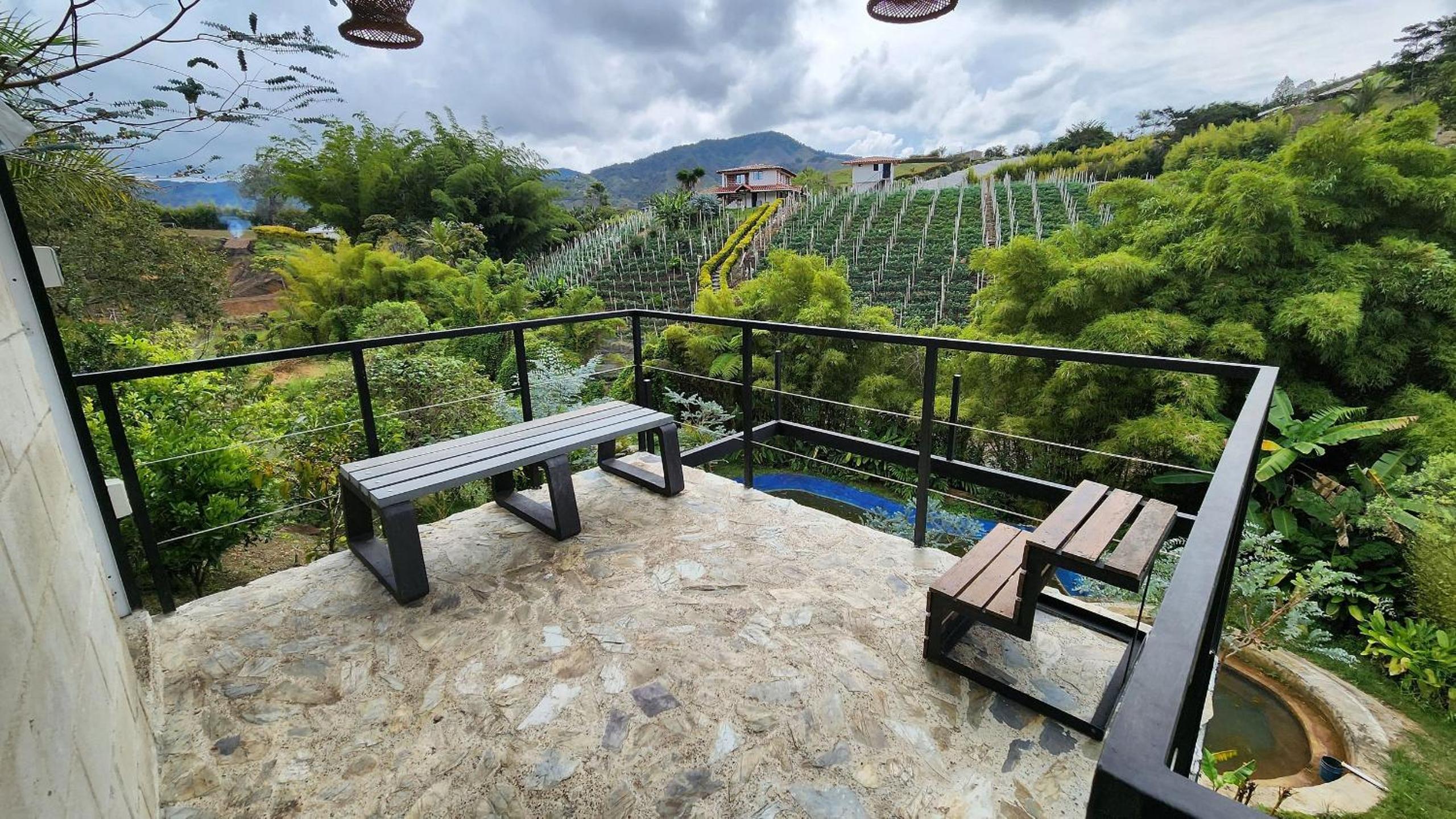 Double Room With Park View photo 3