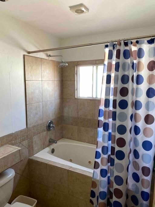 Three-Bedroom House photo 3