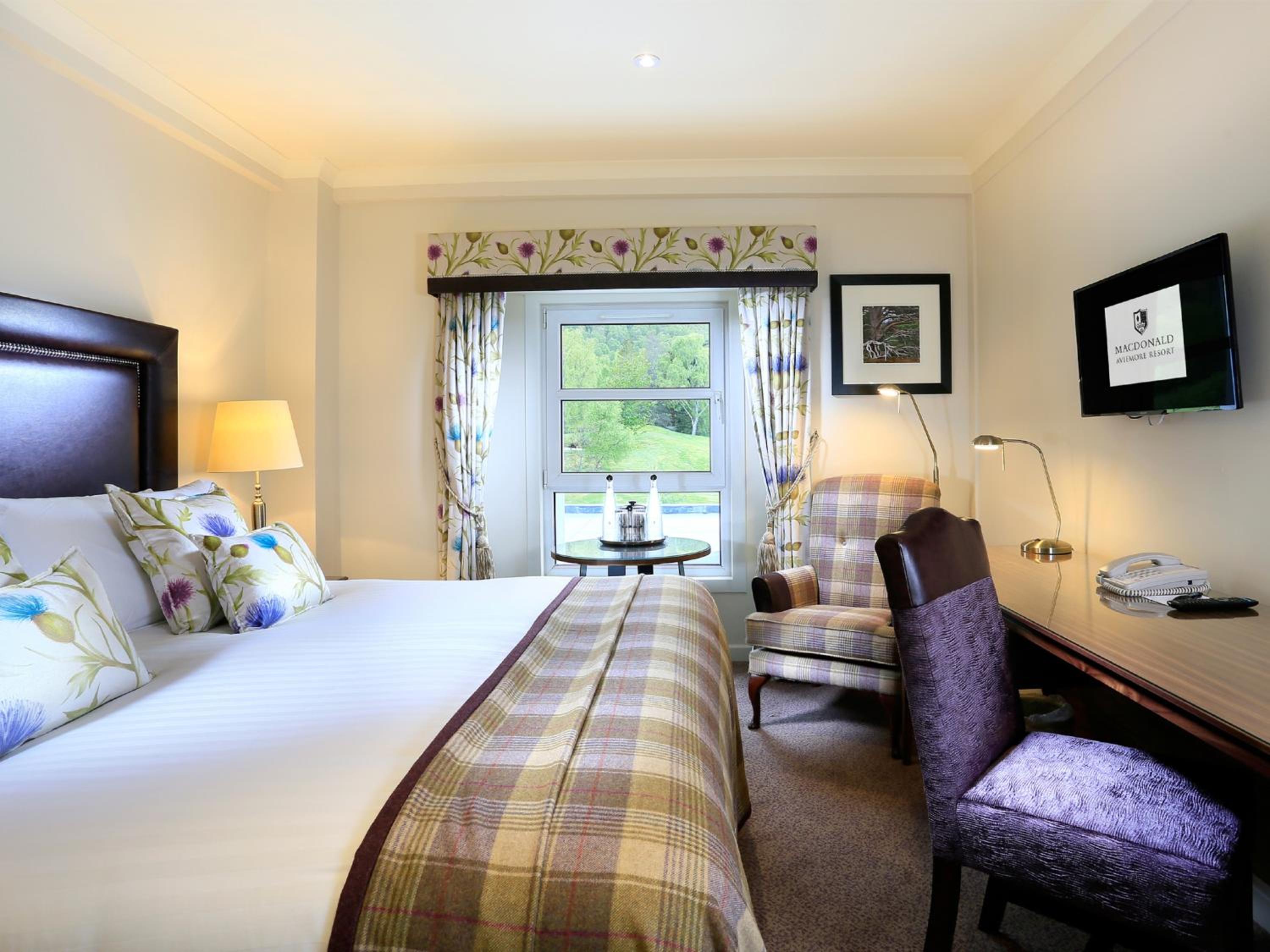 Standard King Room photo 1