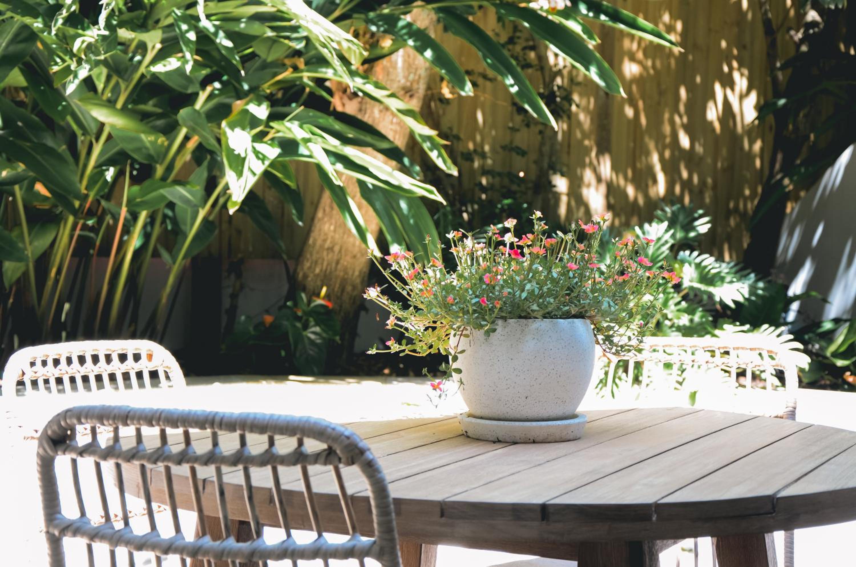 Garden Studio - Photo 13
