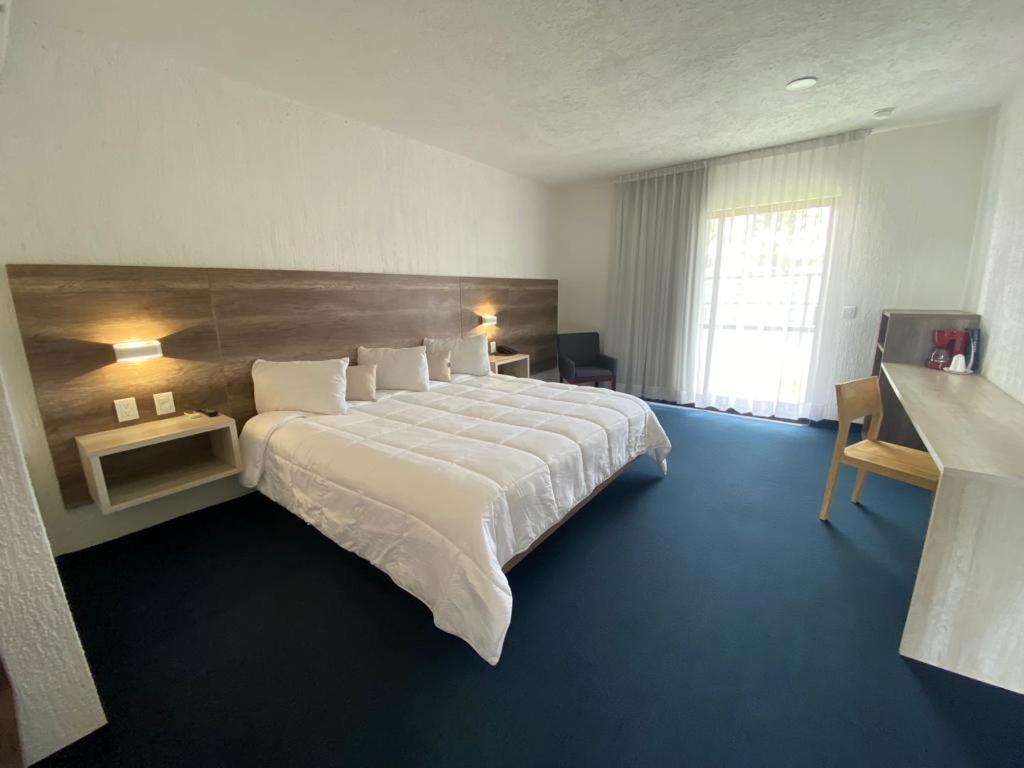 Standard Suite