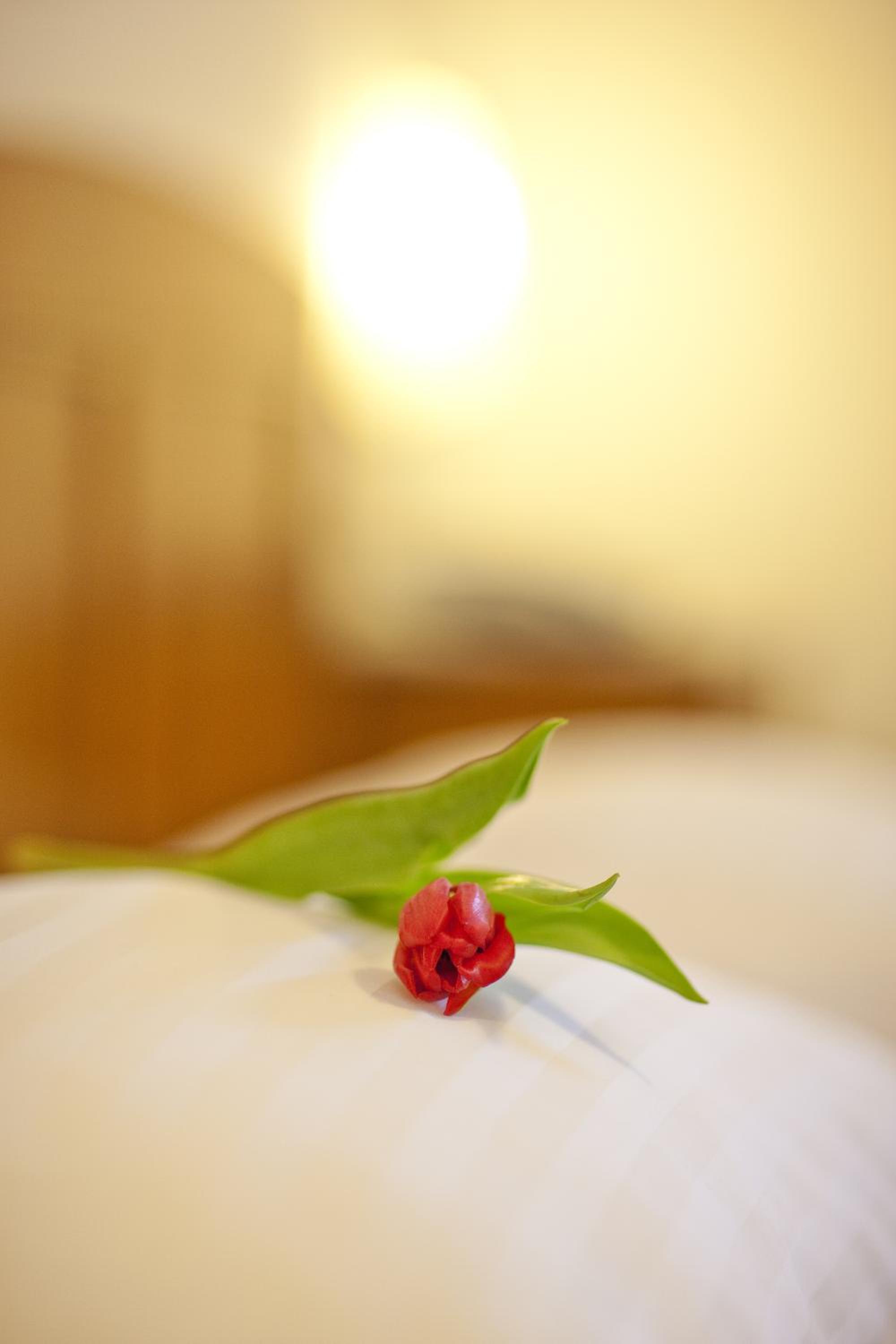 Triple Room - Photo 6