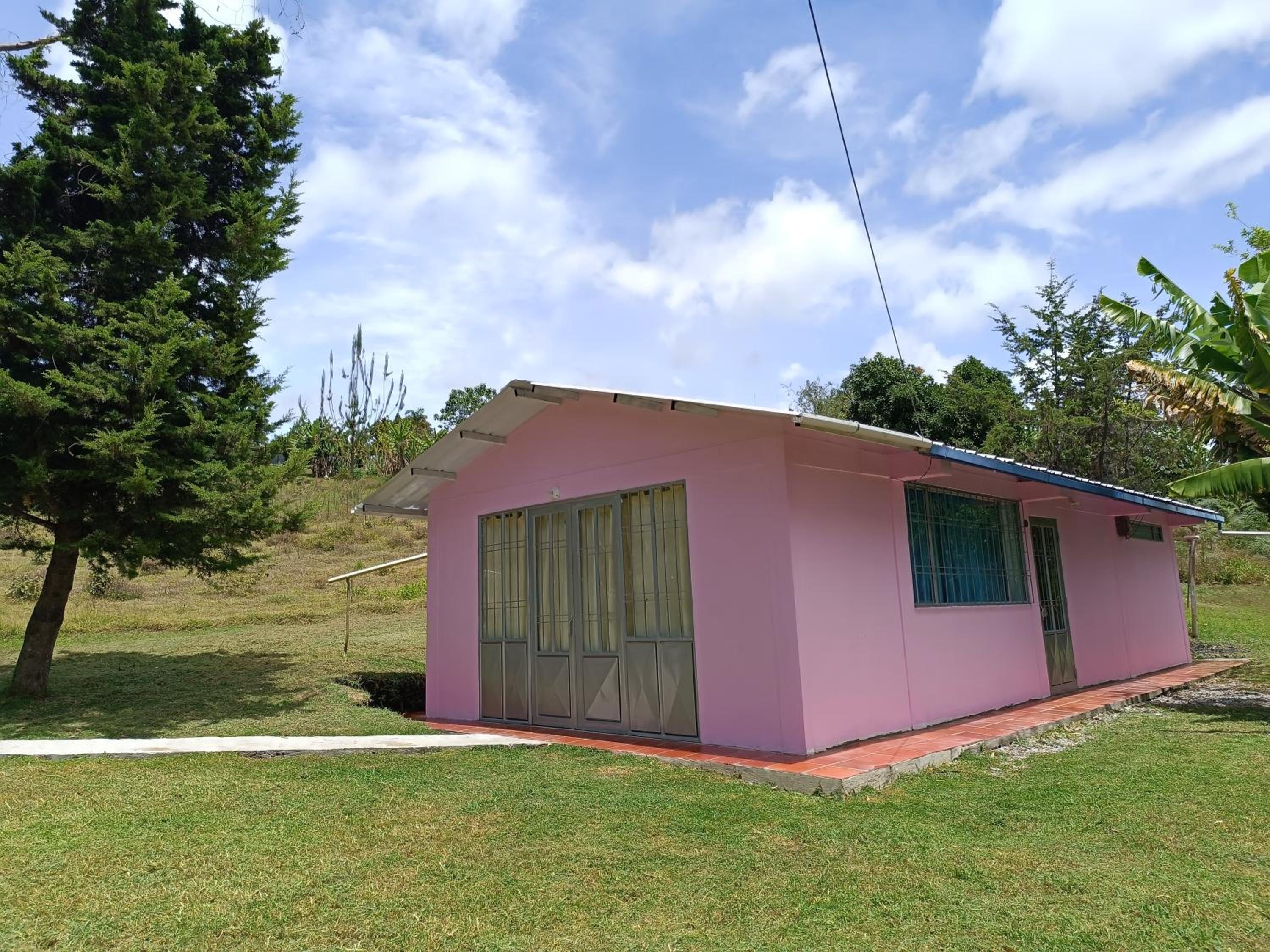 Family Bungalow photo 2