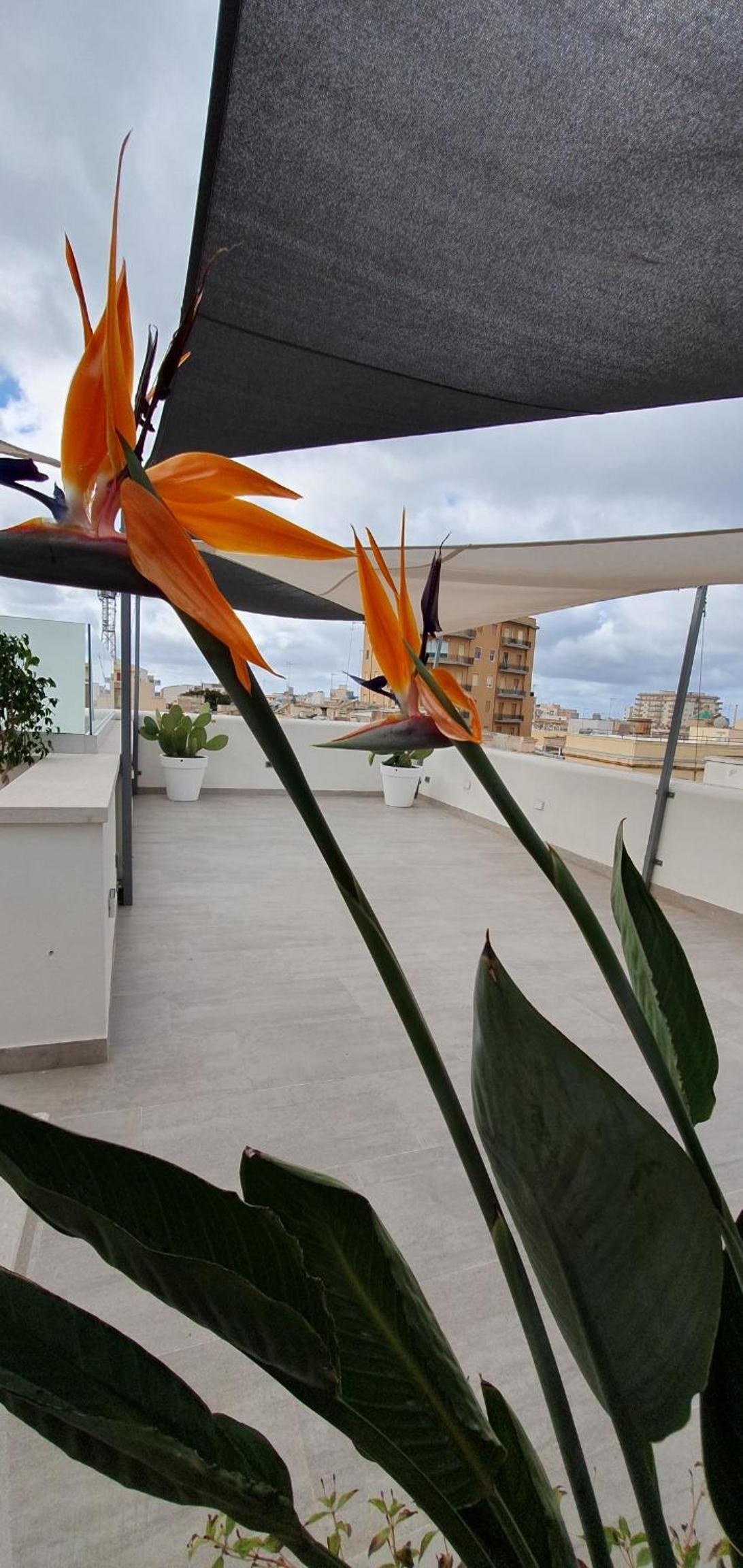 King Room with Balcony - Photo 3