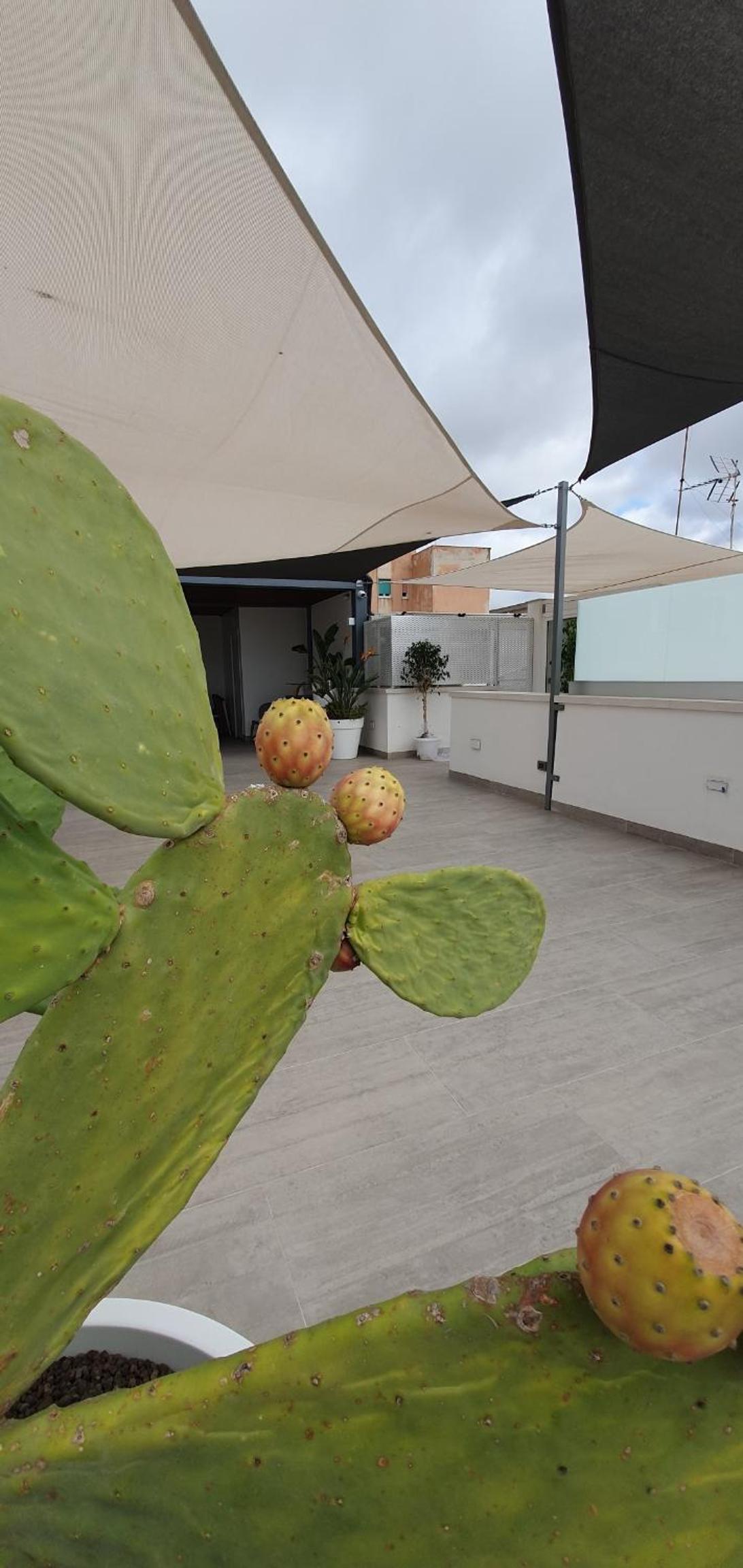 King Room with Balcony - Photo 4