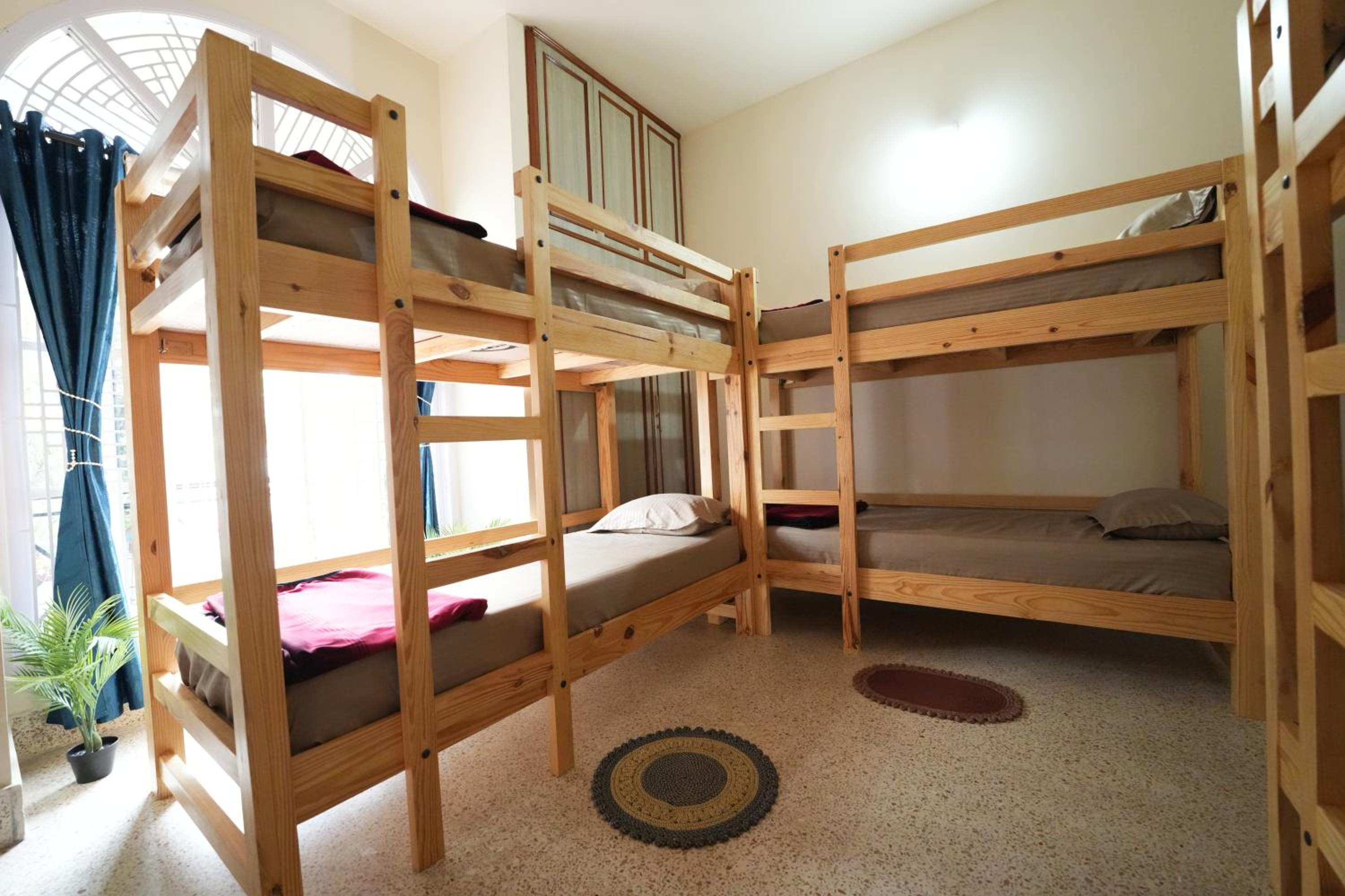 Bed in 8-Bed Mixed Dormitory Room photo 1