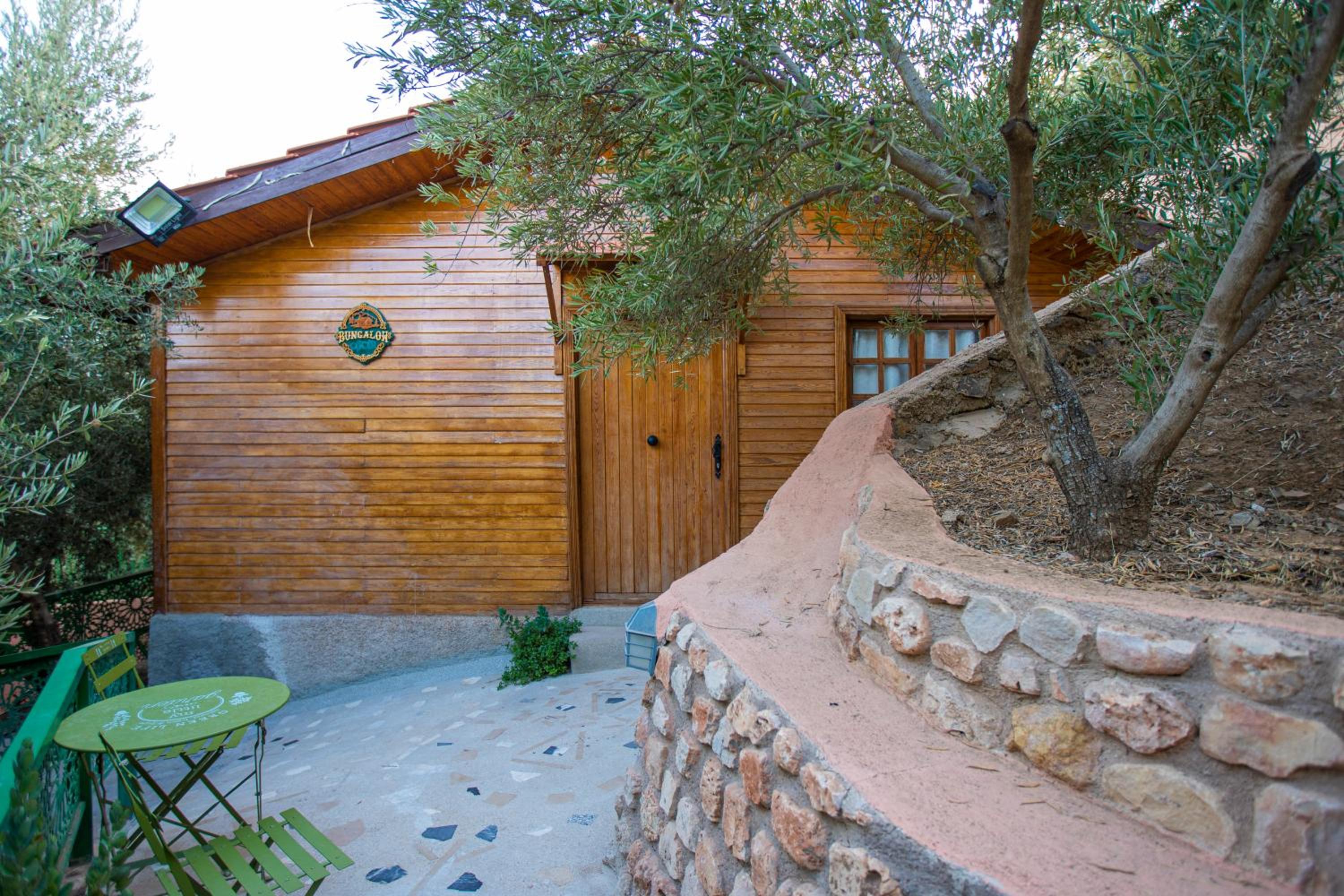Family Bungalow - Photo 3