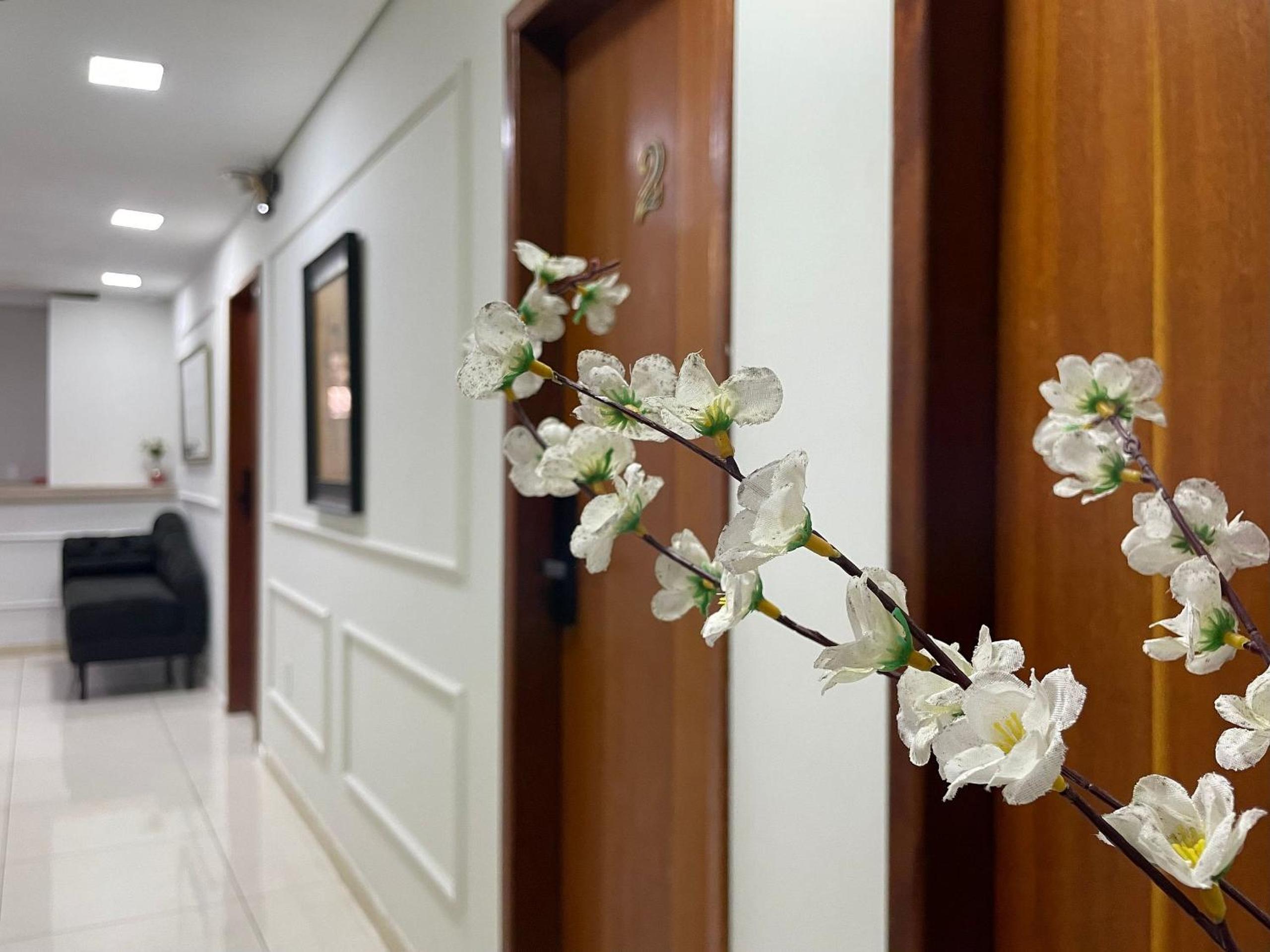 Deluxe Suite - Photo 13