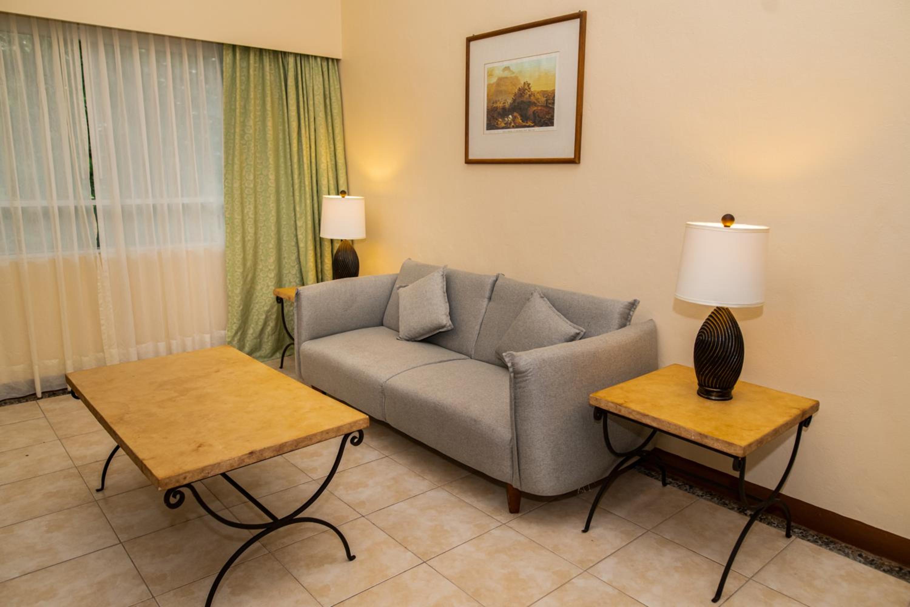 Deluxe King Suite - Photo 2