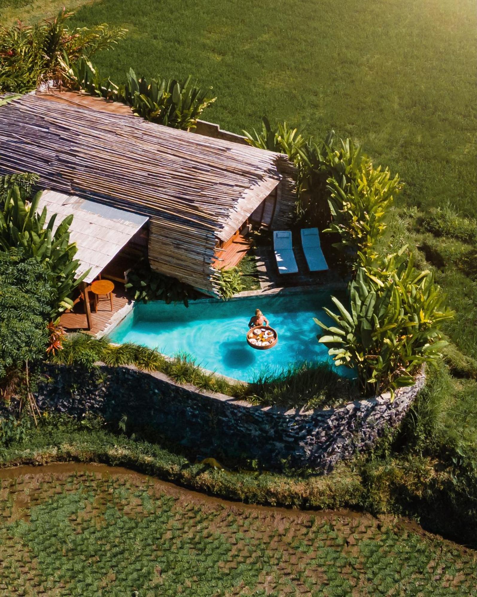 Villa Private Pool with Exclusive Rice Field View