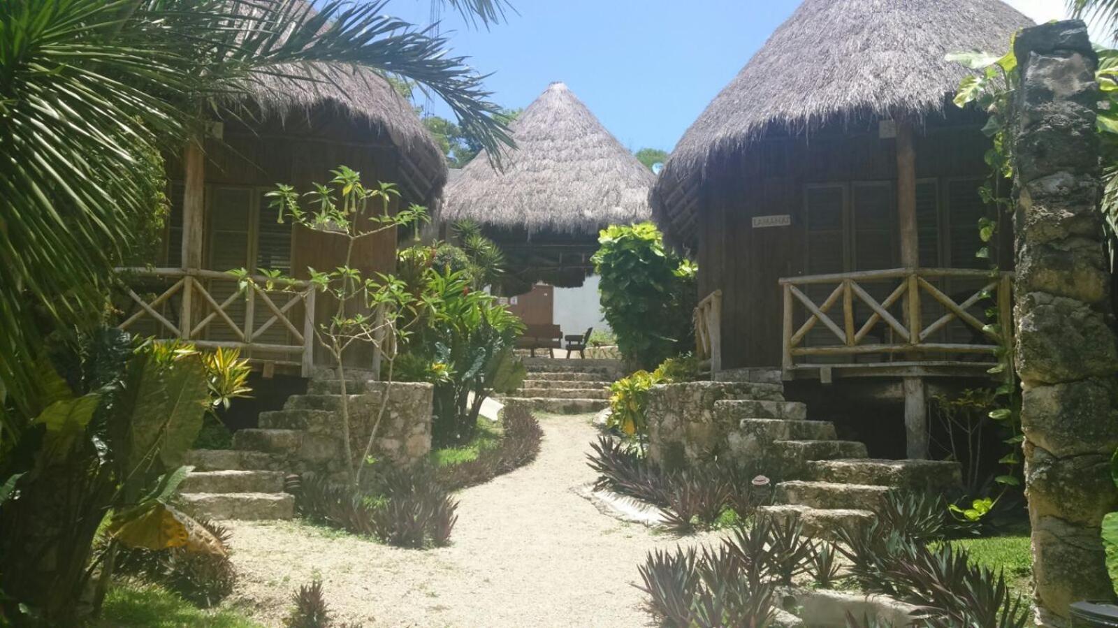 Bungalow - Photo 8