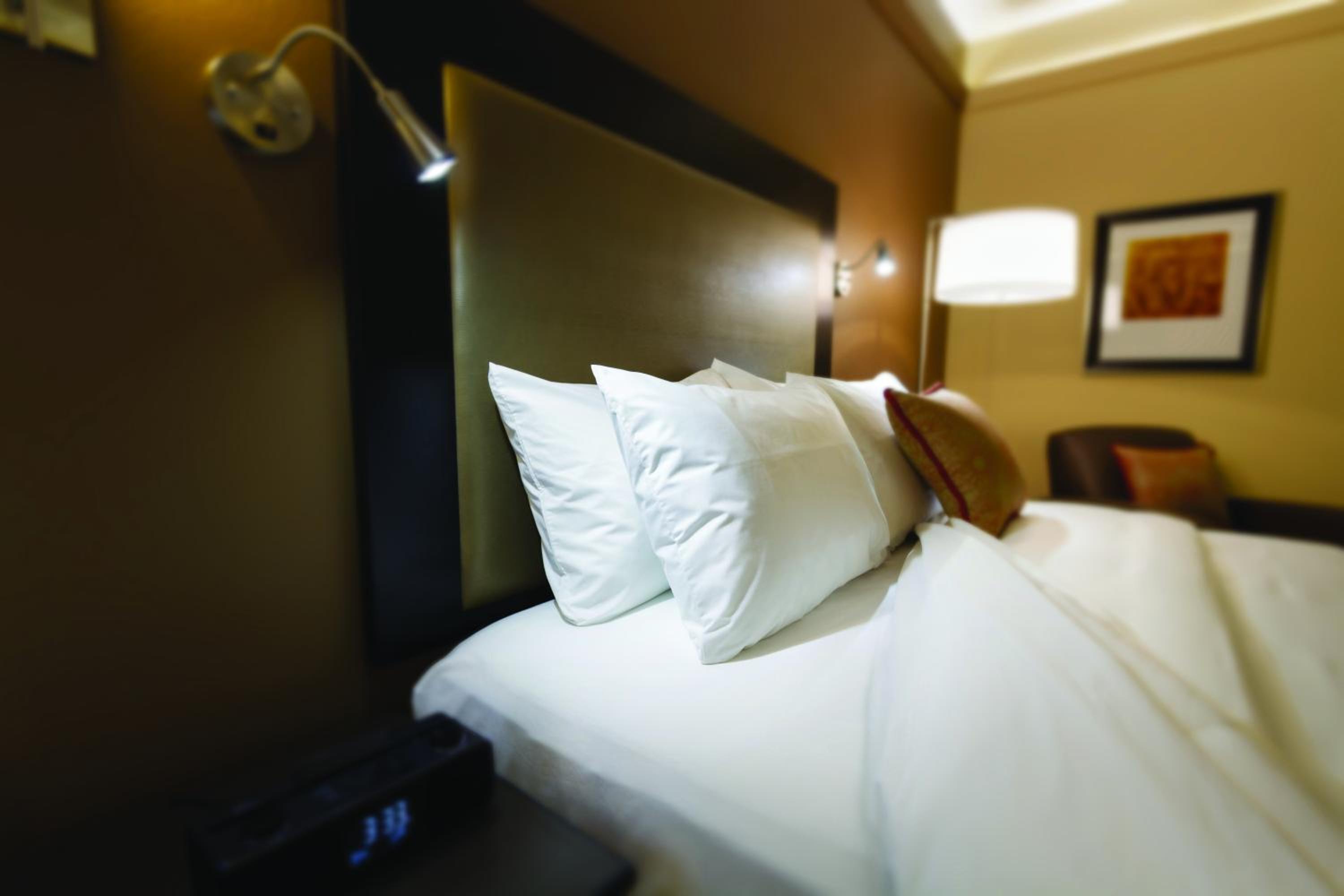 Eco-Ficient Queen Room