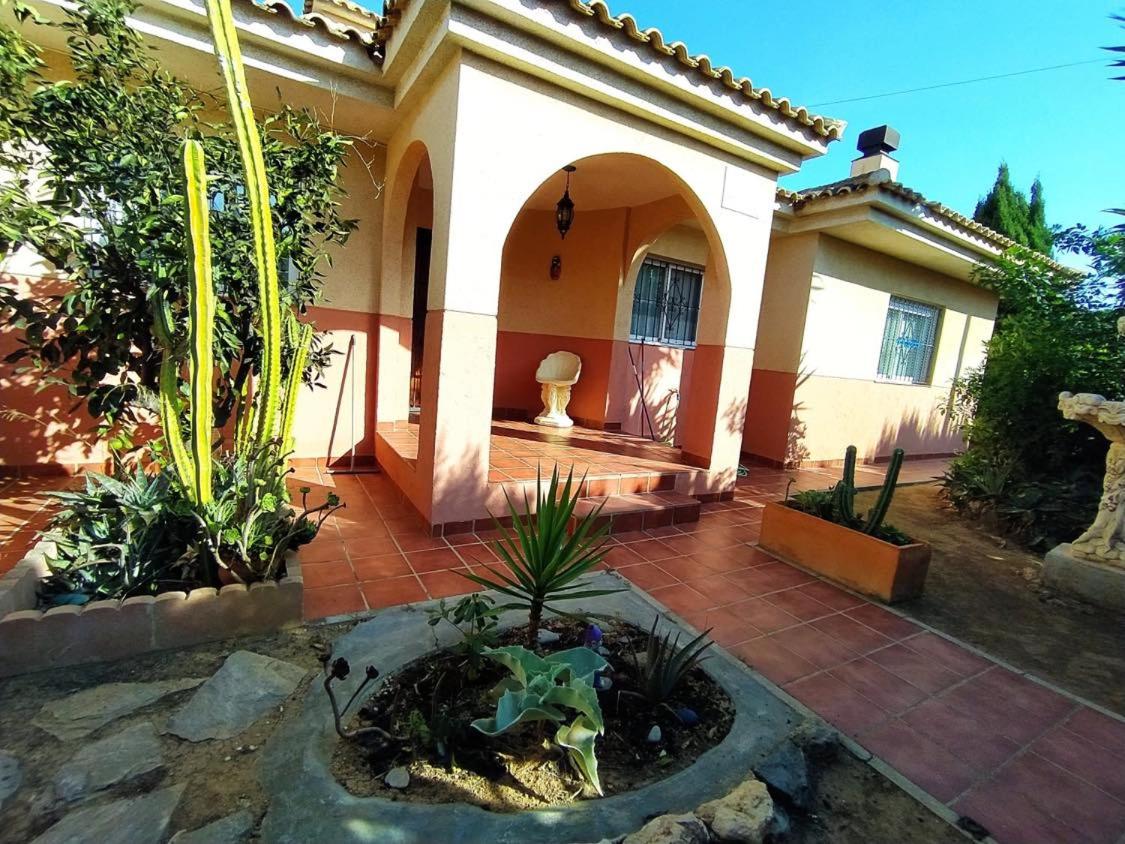 Four-Bedroom House photo 3