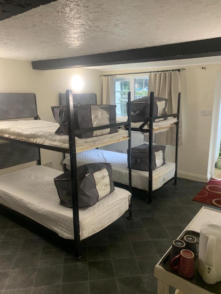 8-Bed Mixed Dormitory Room photo 1