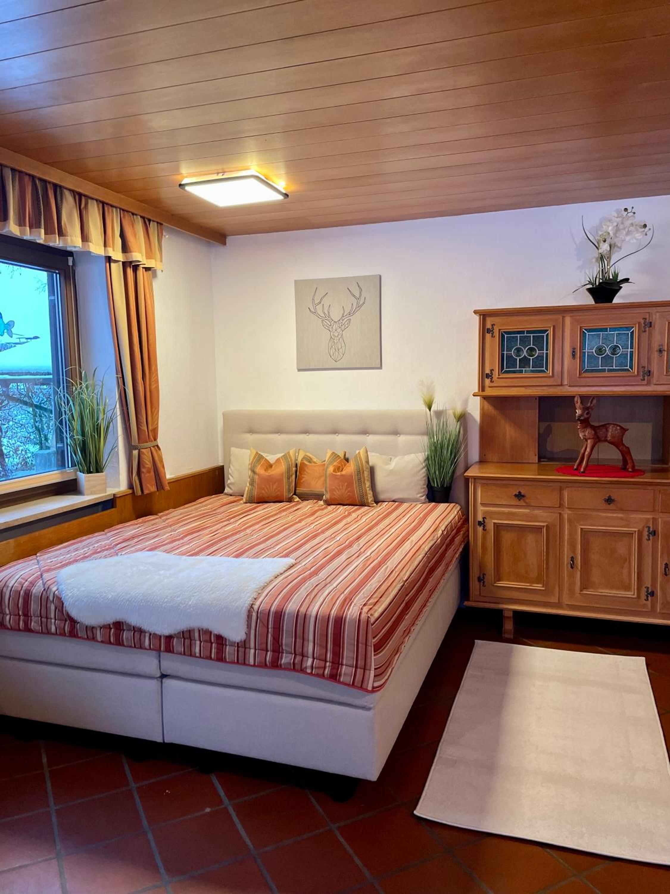 Apartment with Terrace photo 2