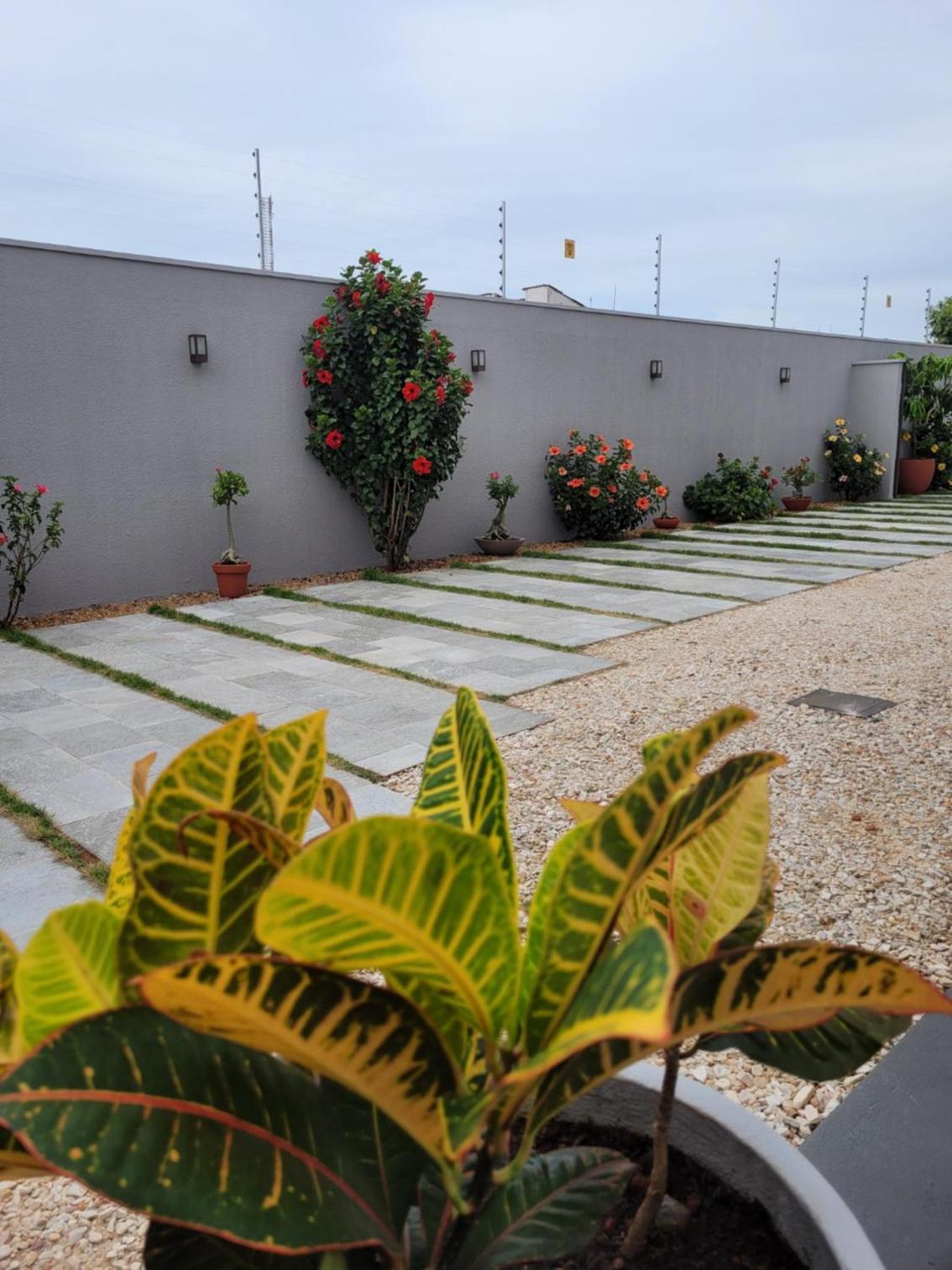 Apartment - Ground Floor photo 3