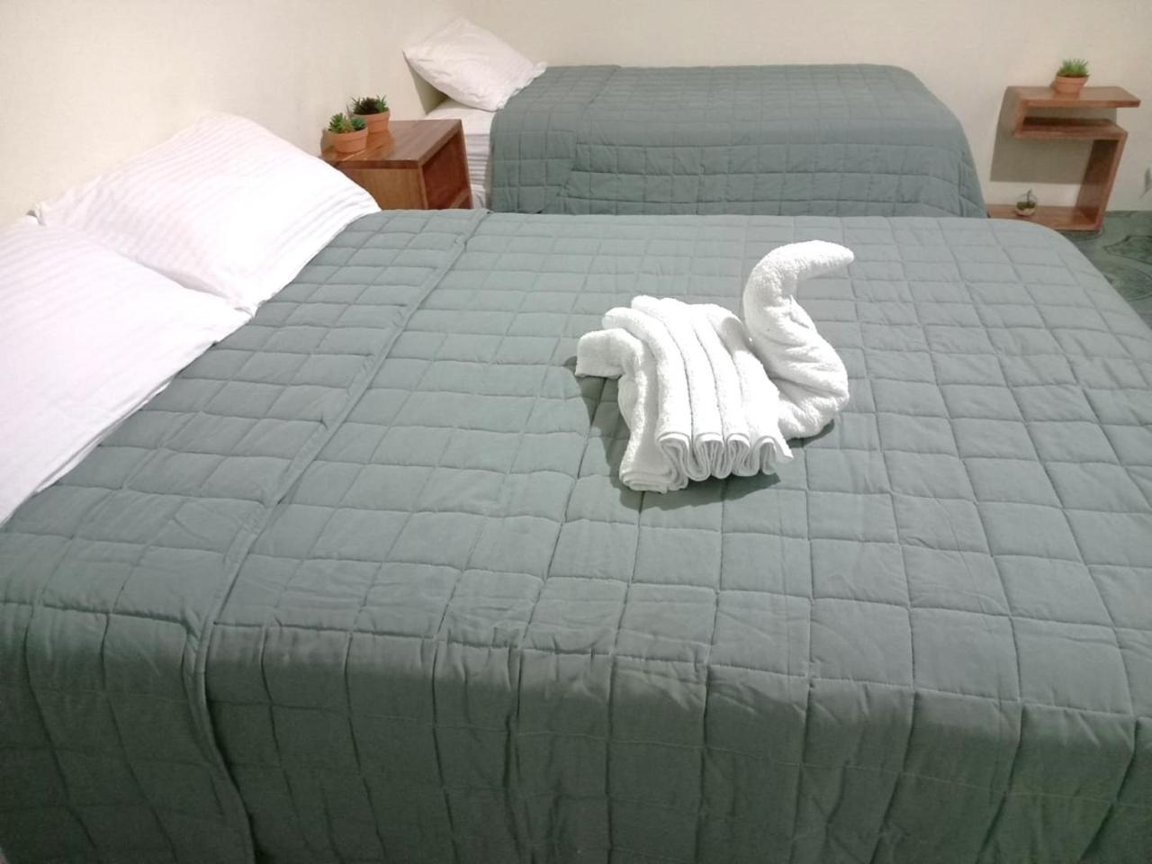 Deluxe Double or Twin Room photo 1