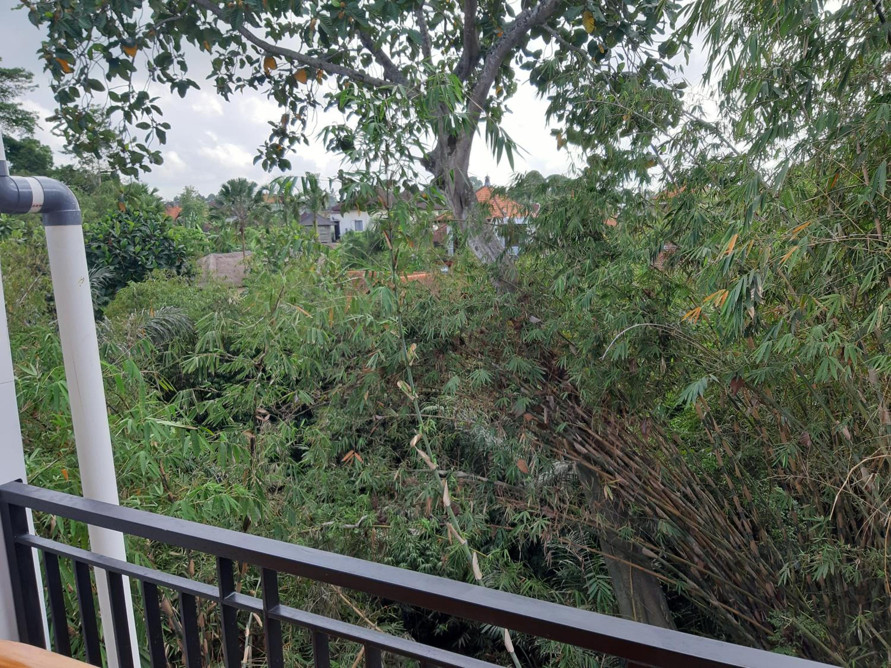 Double Room with Balcony - Photo 4