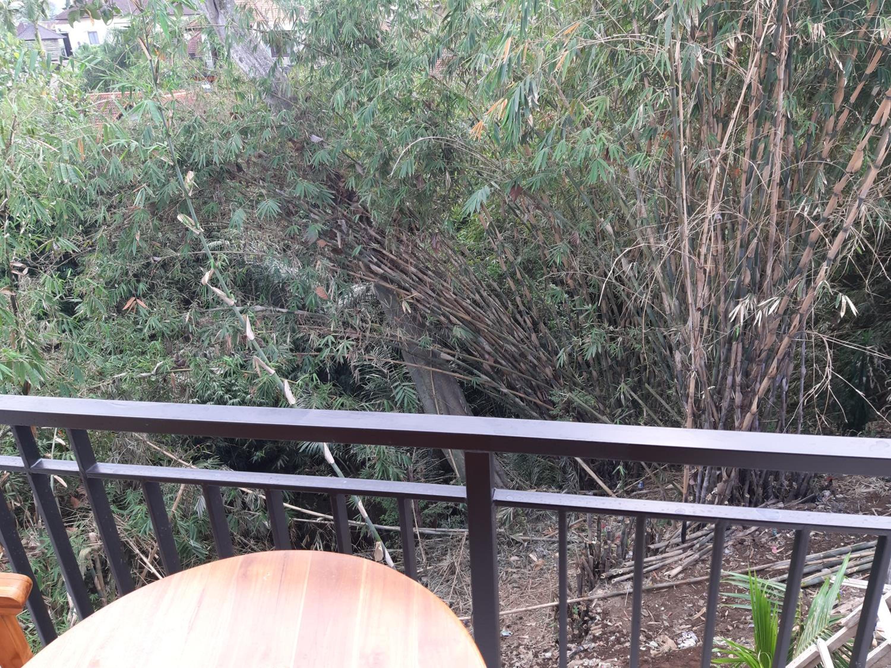 Double Room with Balcony - Photo 13