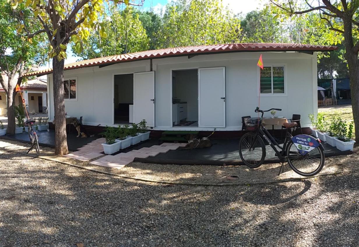Mobile Home photo 2