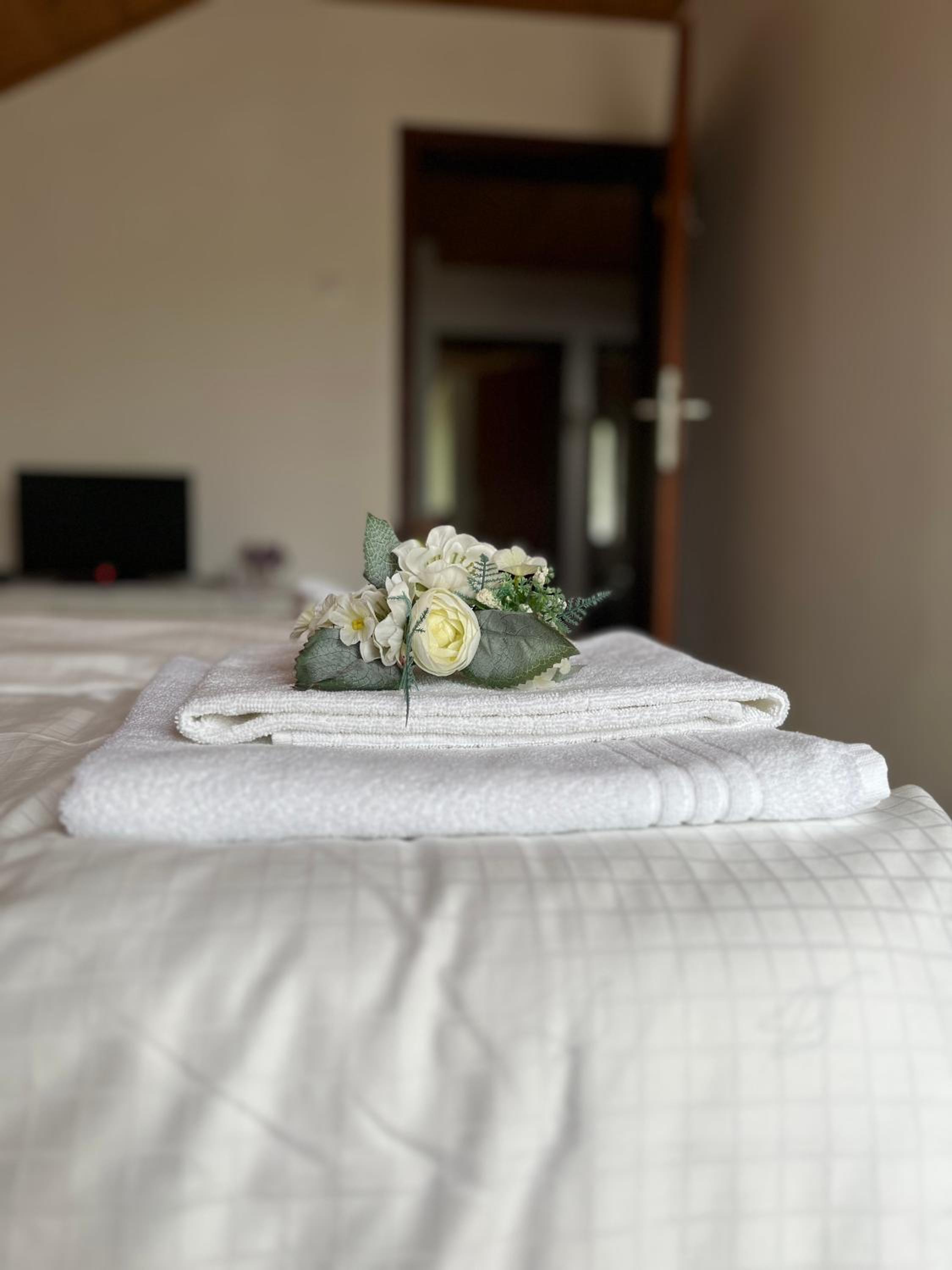 Double Room With Mountain View photo 2