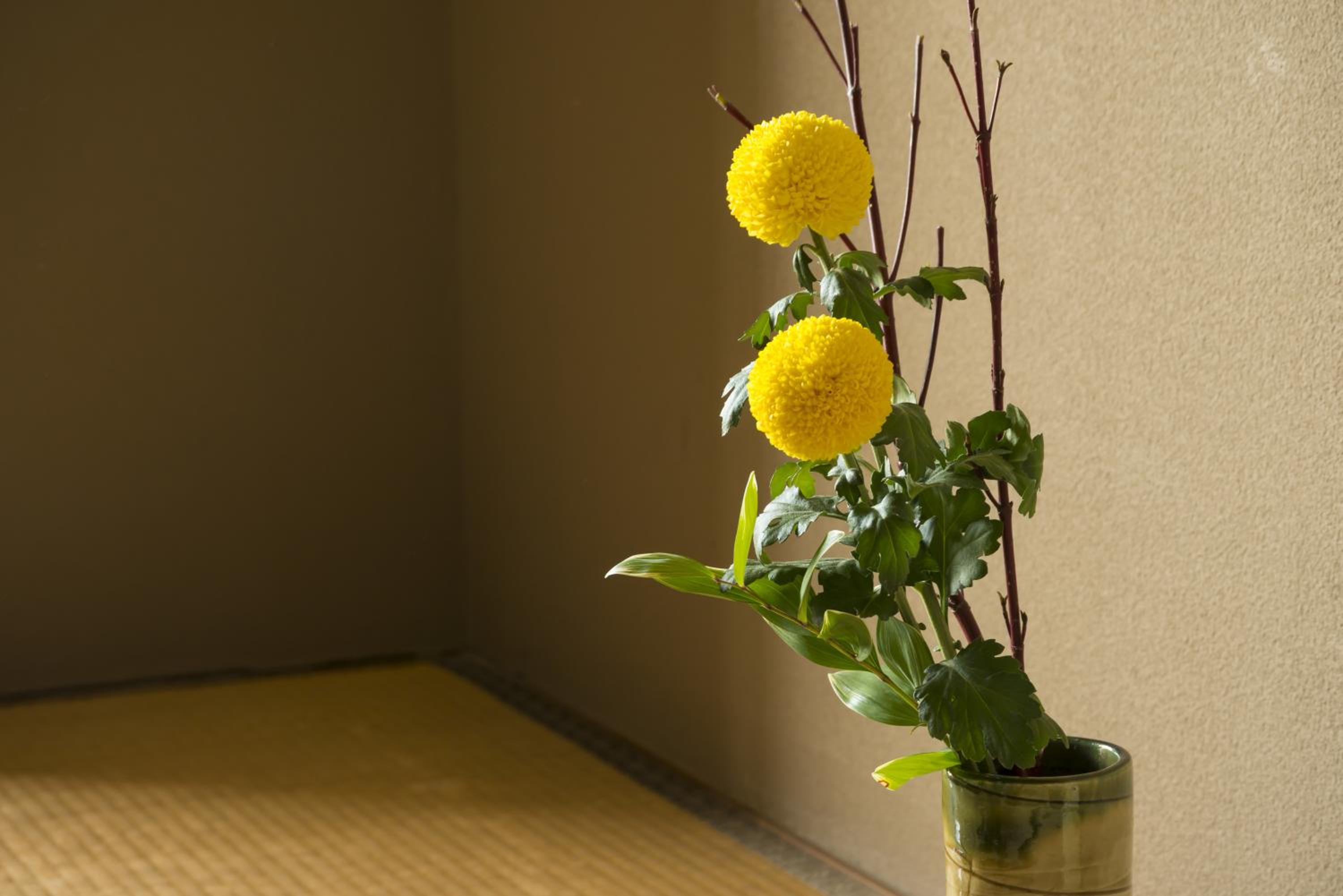 Smoking - Japanese-Style Room No View