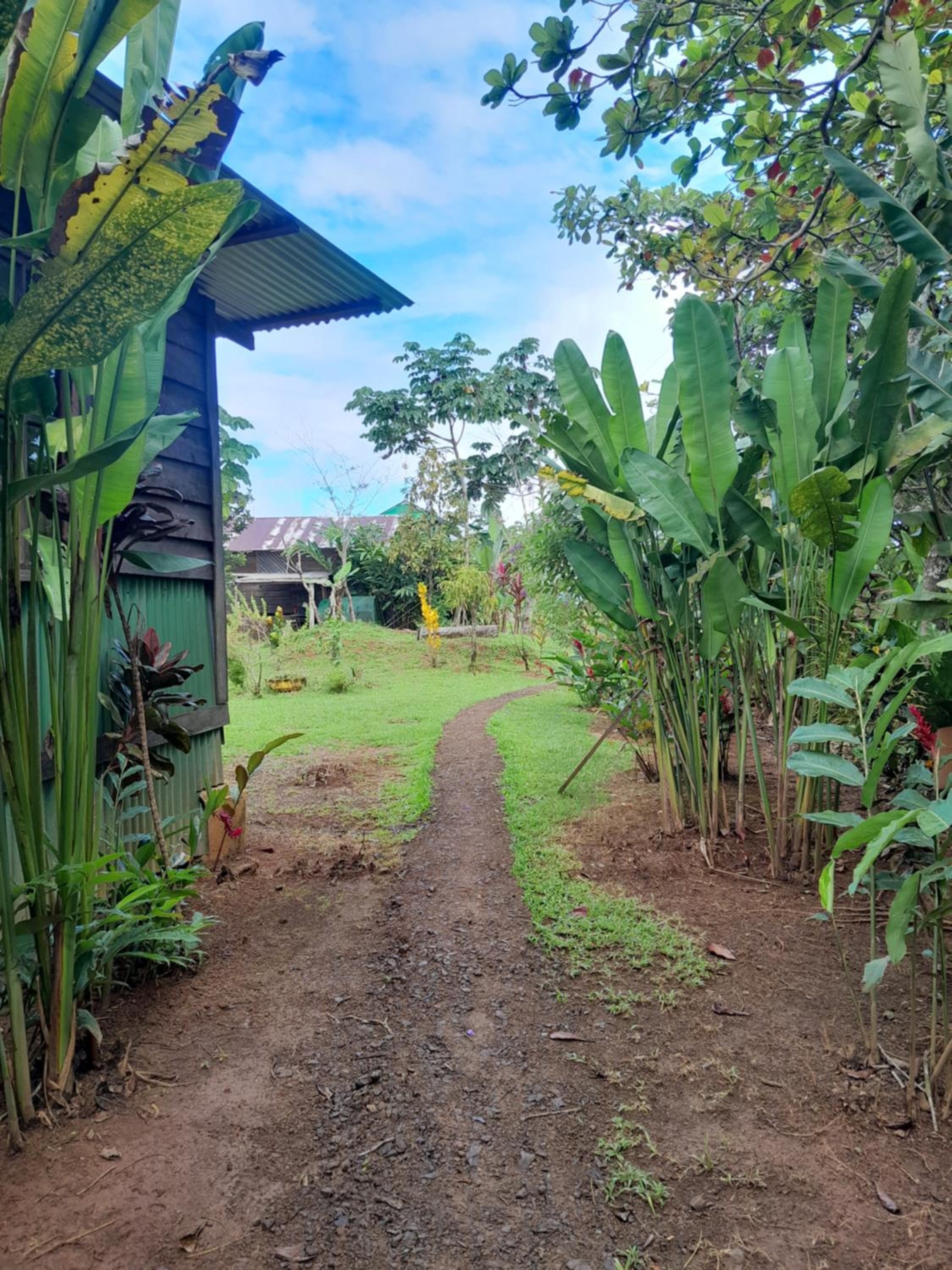 Superior Bungalow photo 3