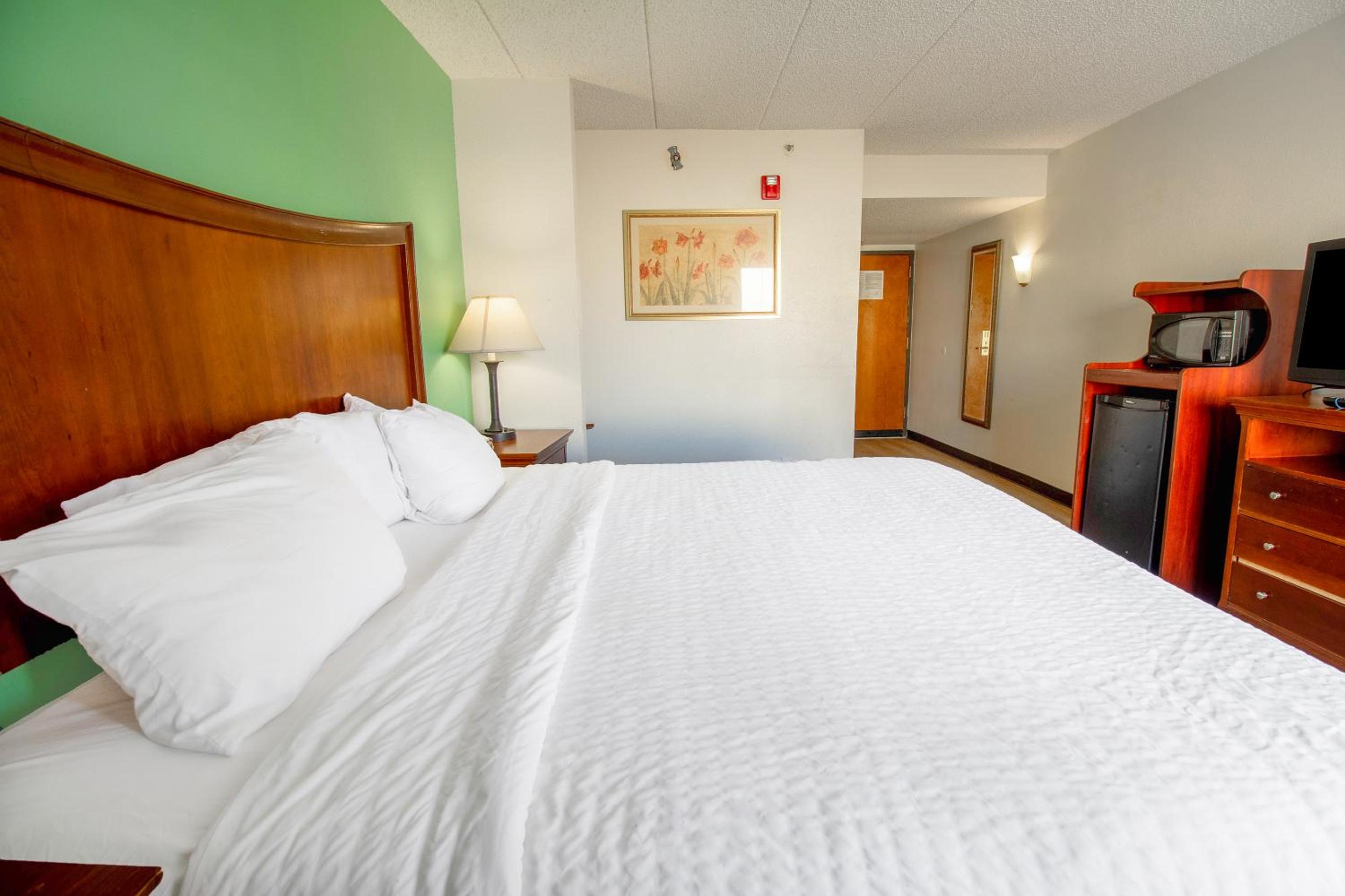 King Room - Accessible - Photo 6