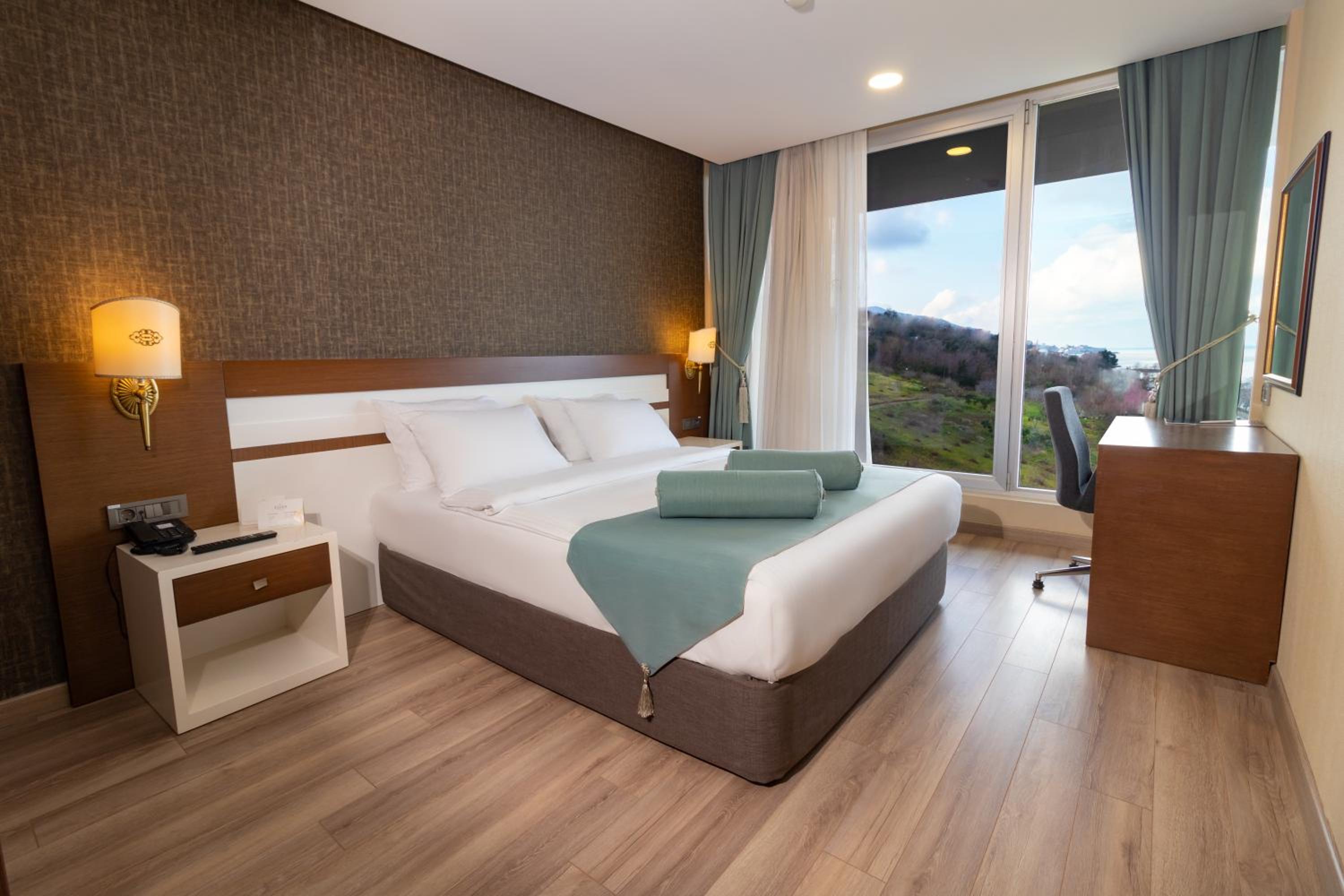 Standard Double Room with Mountain View photo 1