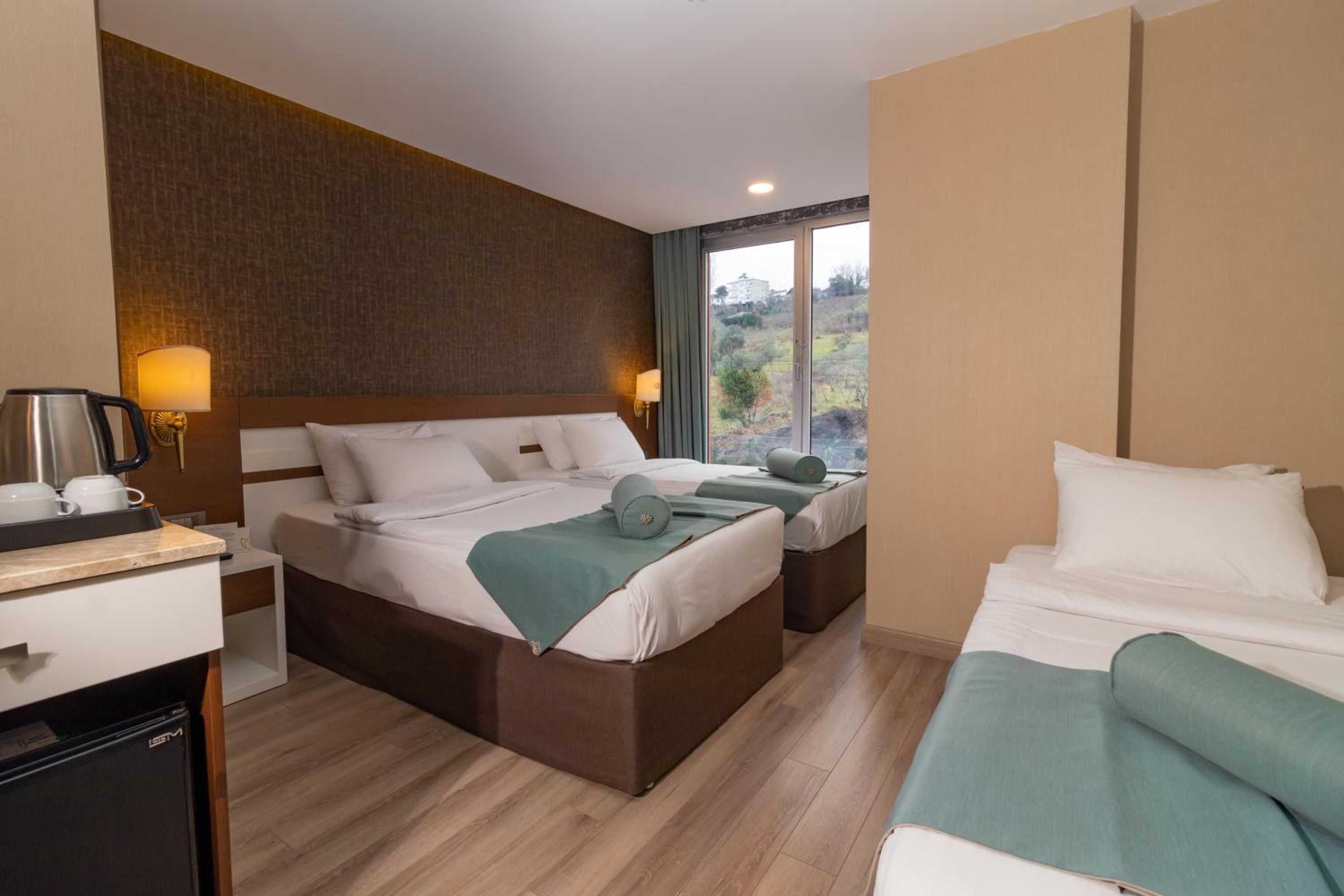 Triple Room with Mountain View photo 2