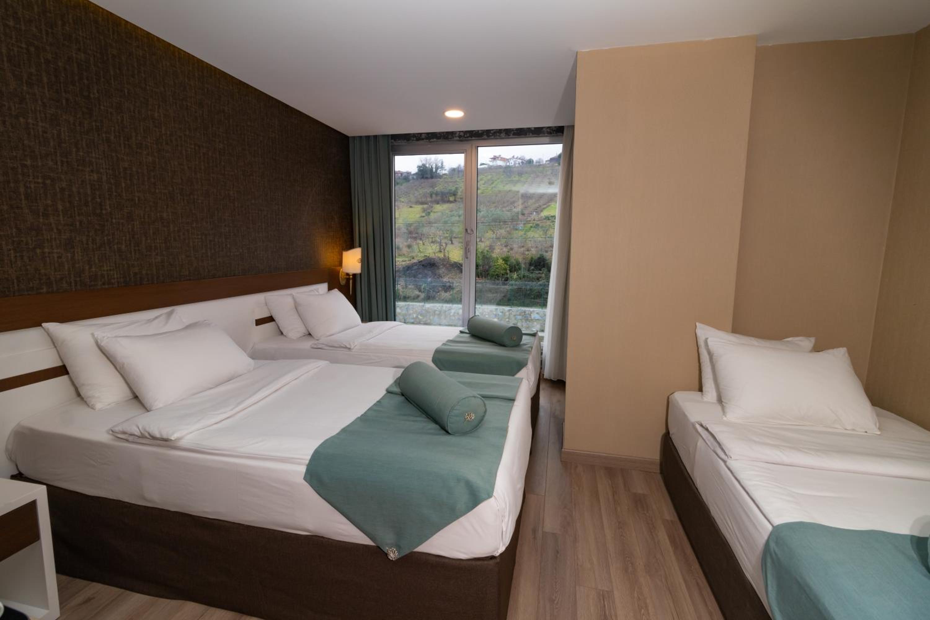 Triple Room with Mountain View photo 3