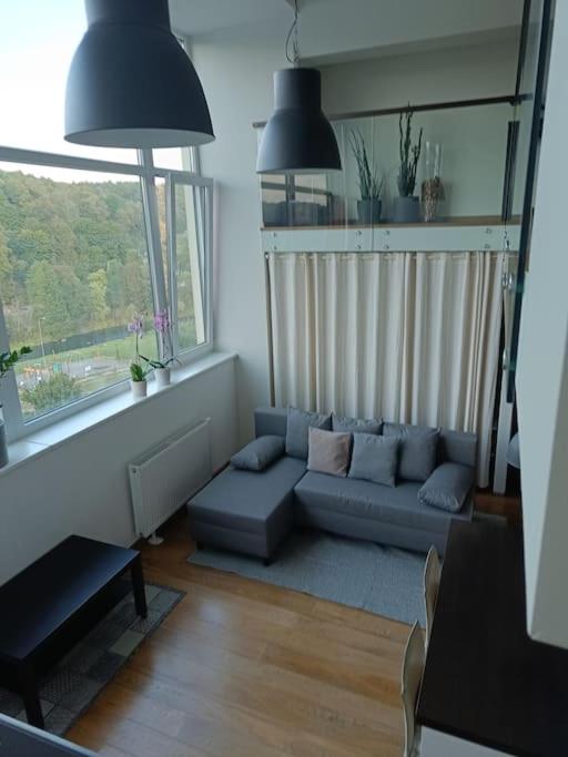 One-Bedroom Apartment photo 3