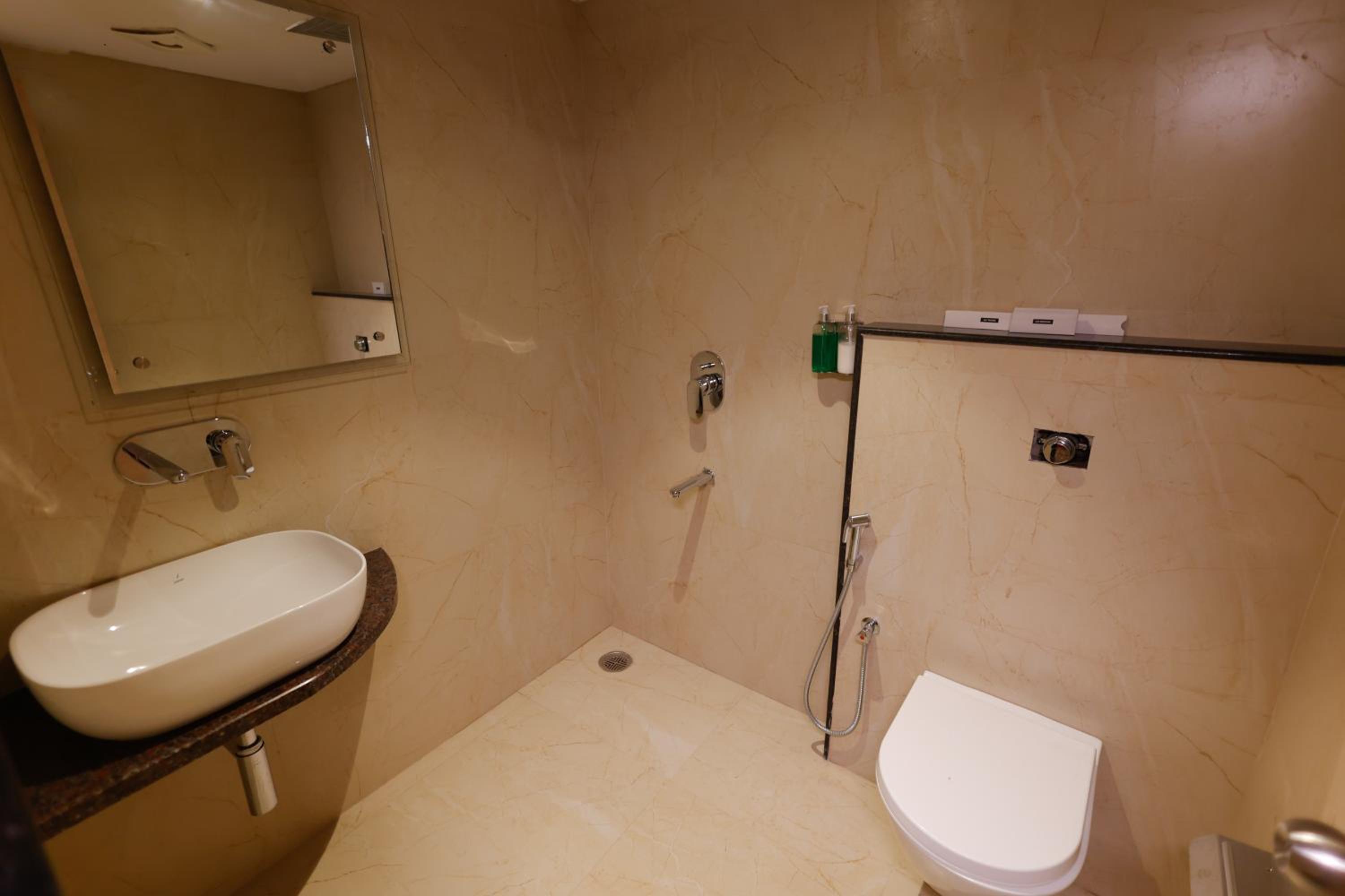 Deluxe Room - Photo 10