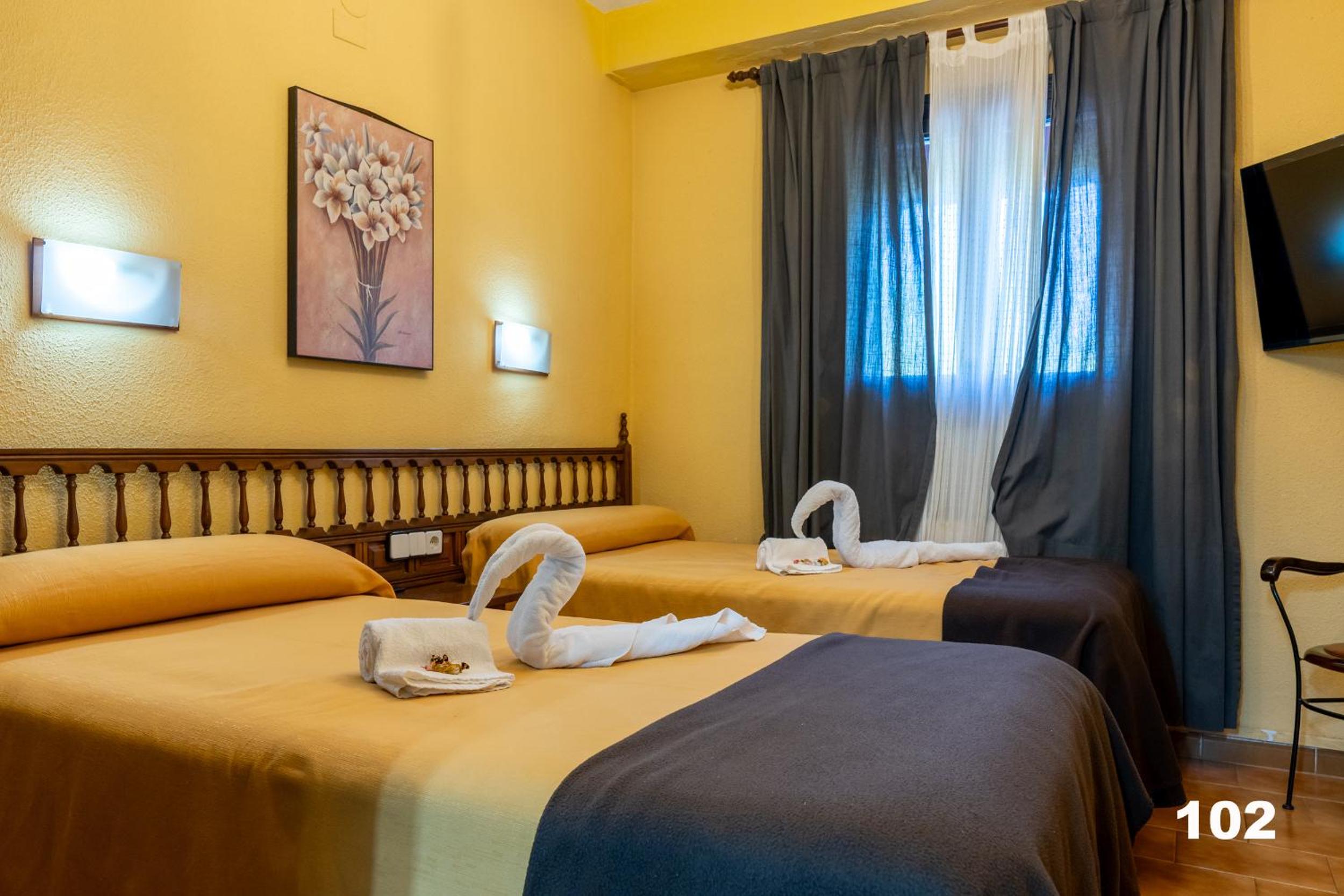 Twin Room - Photo 4