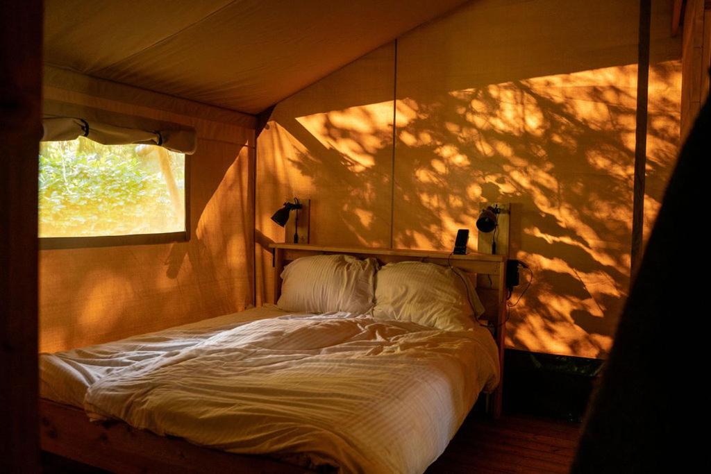 Tent 2 photo 1