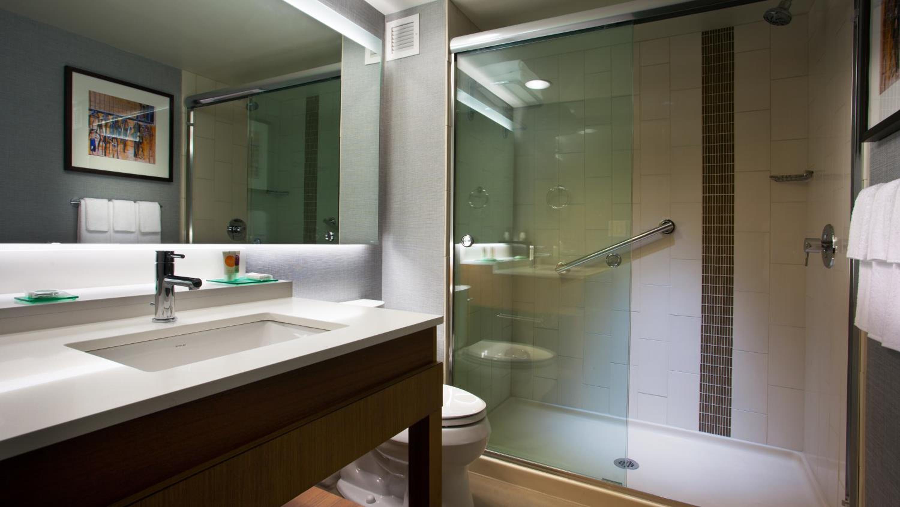 King Room with Accessible Shower photo 2