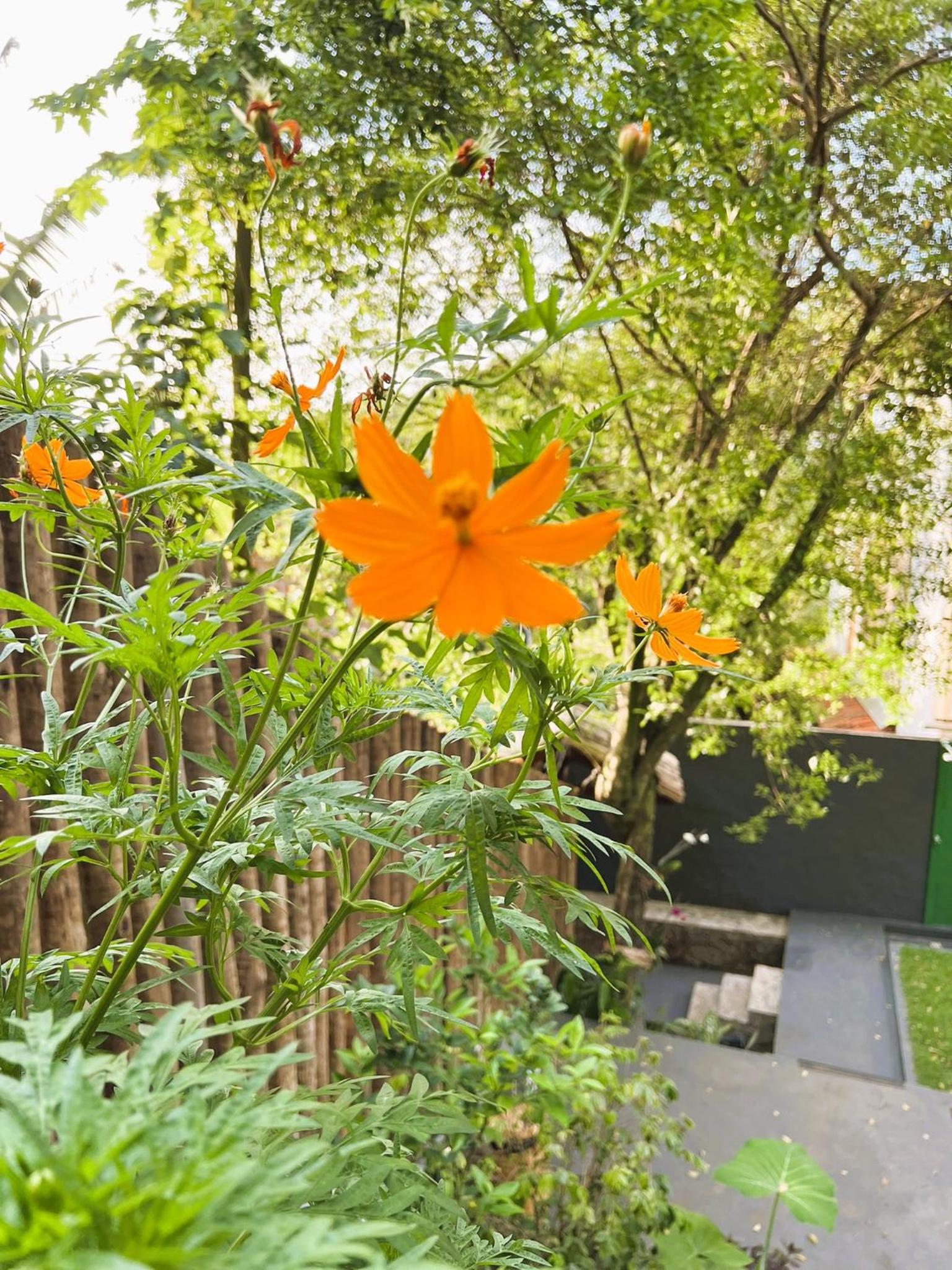 Apartment with Balcony photo 3