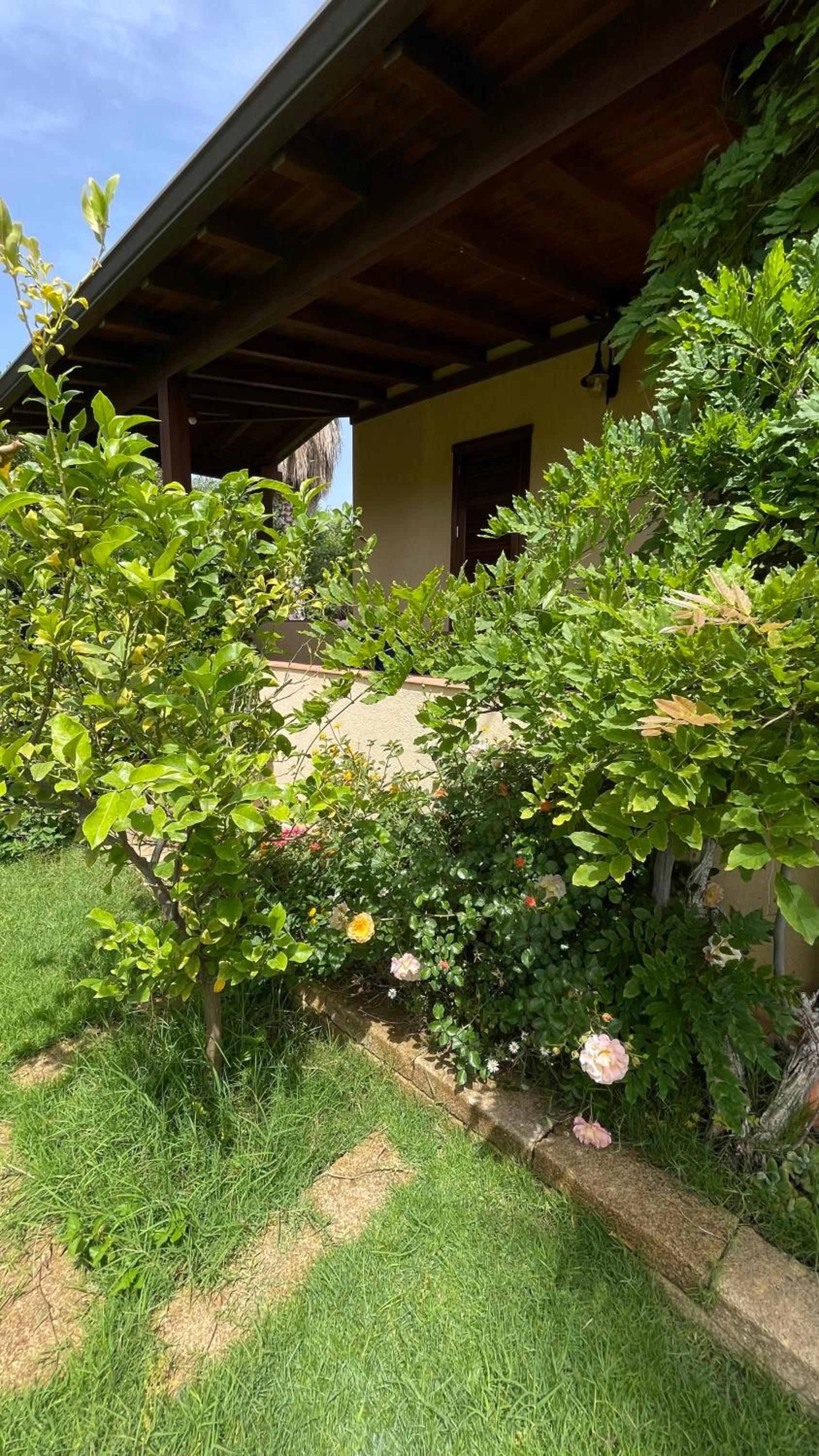 Three-Bedroom Villa photo 1