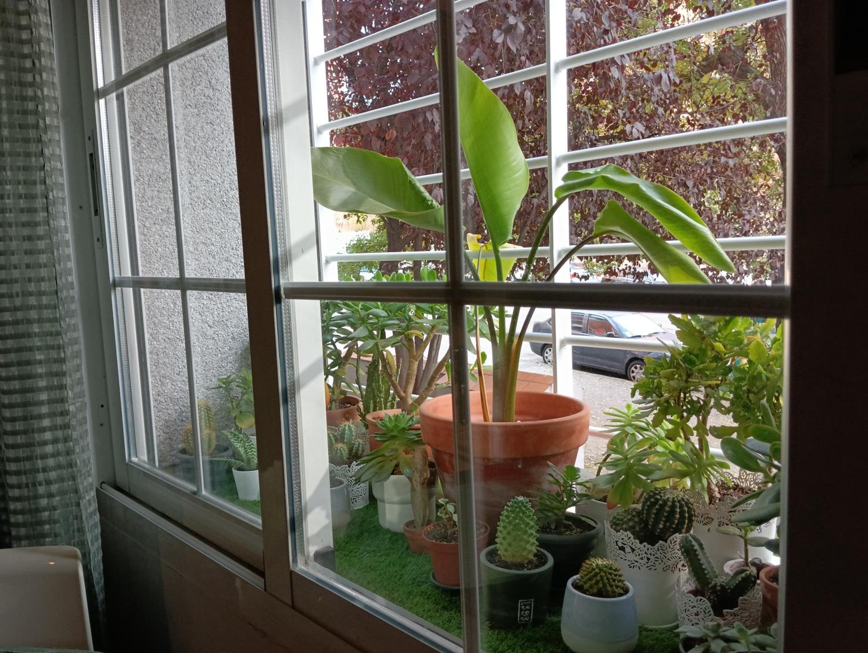 Apartment - Photo 18