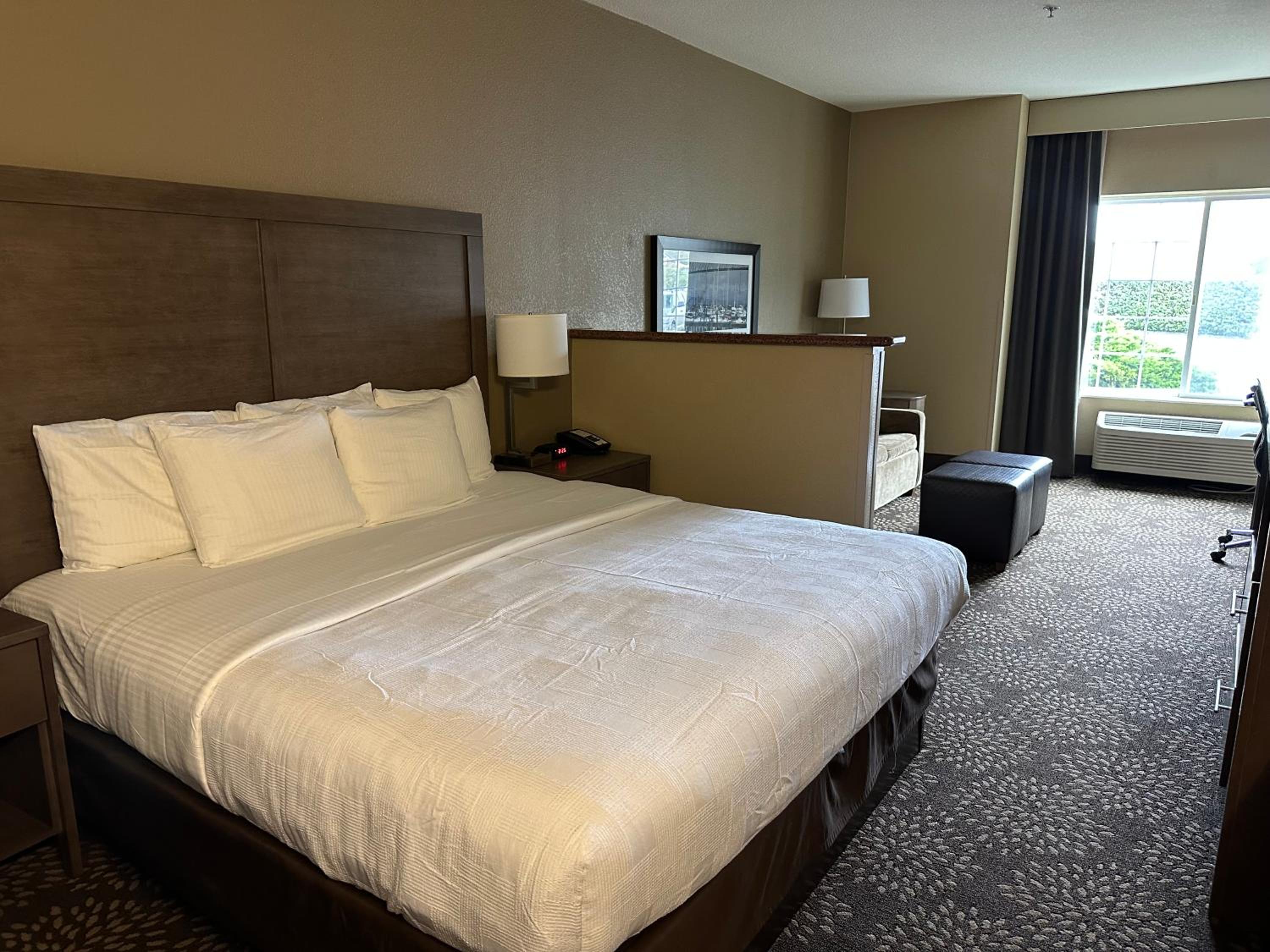 King Suite with Sofa Bed - Non-Smoking - Photo 1