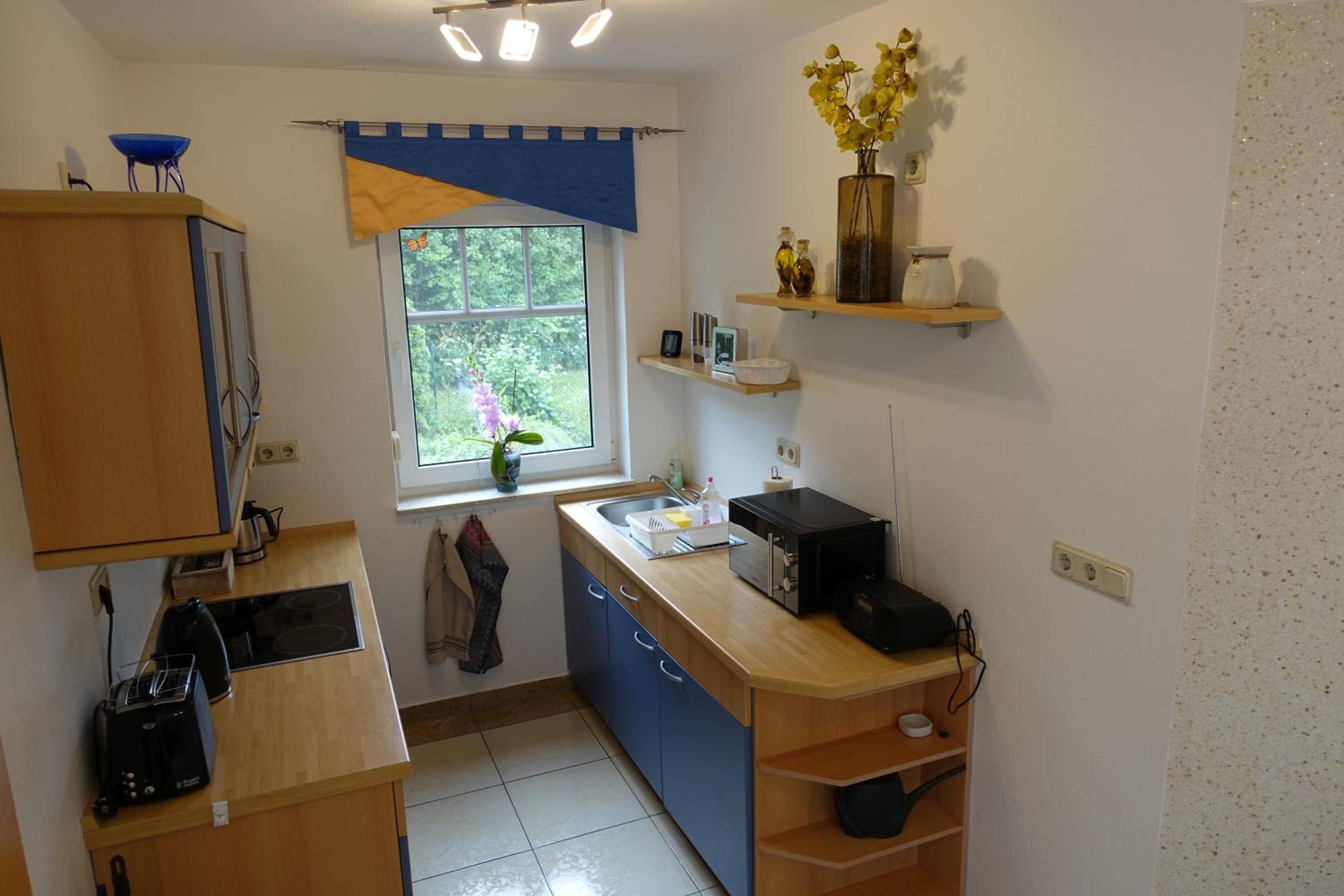 One-Bedroom Apartment photo 3