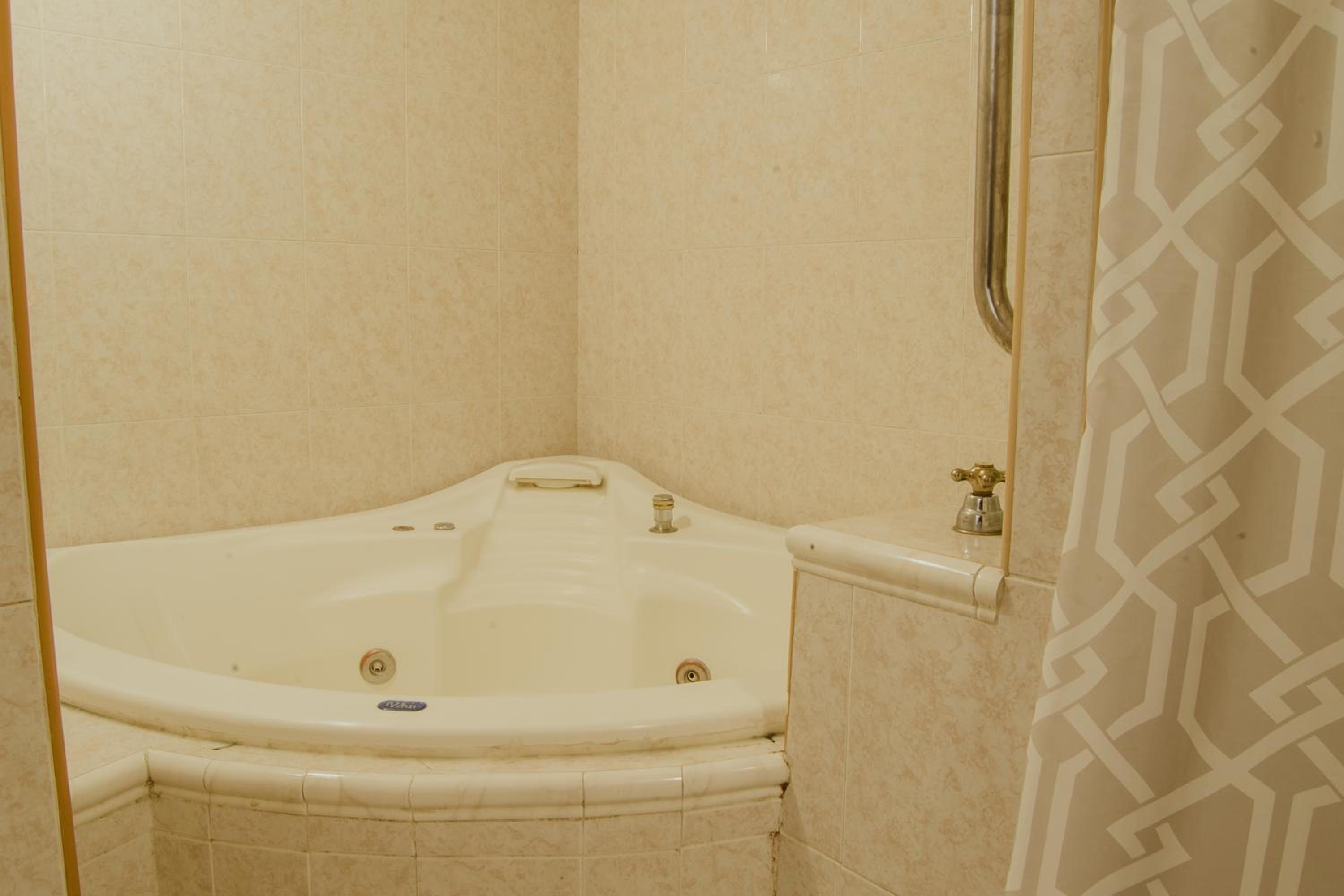 Deluxe Suite with Spa Bath photo 3