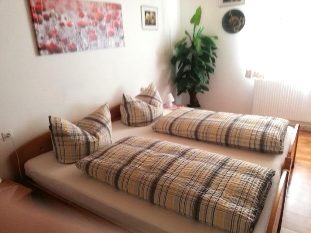 Double or Twin Room with Terrace photo 3